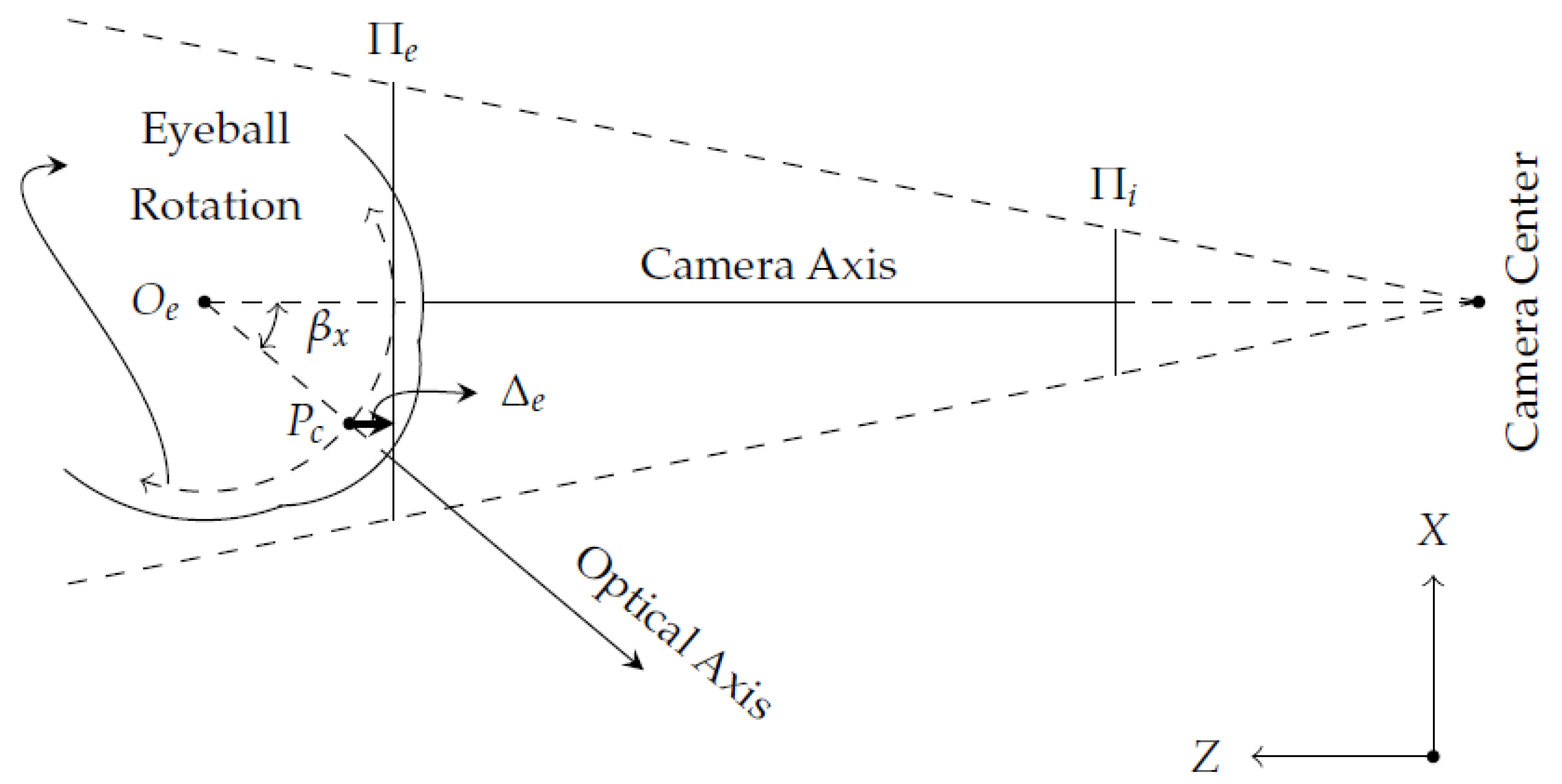 Vision 05 00041 g006 Vision 05 00041 g006