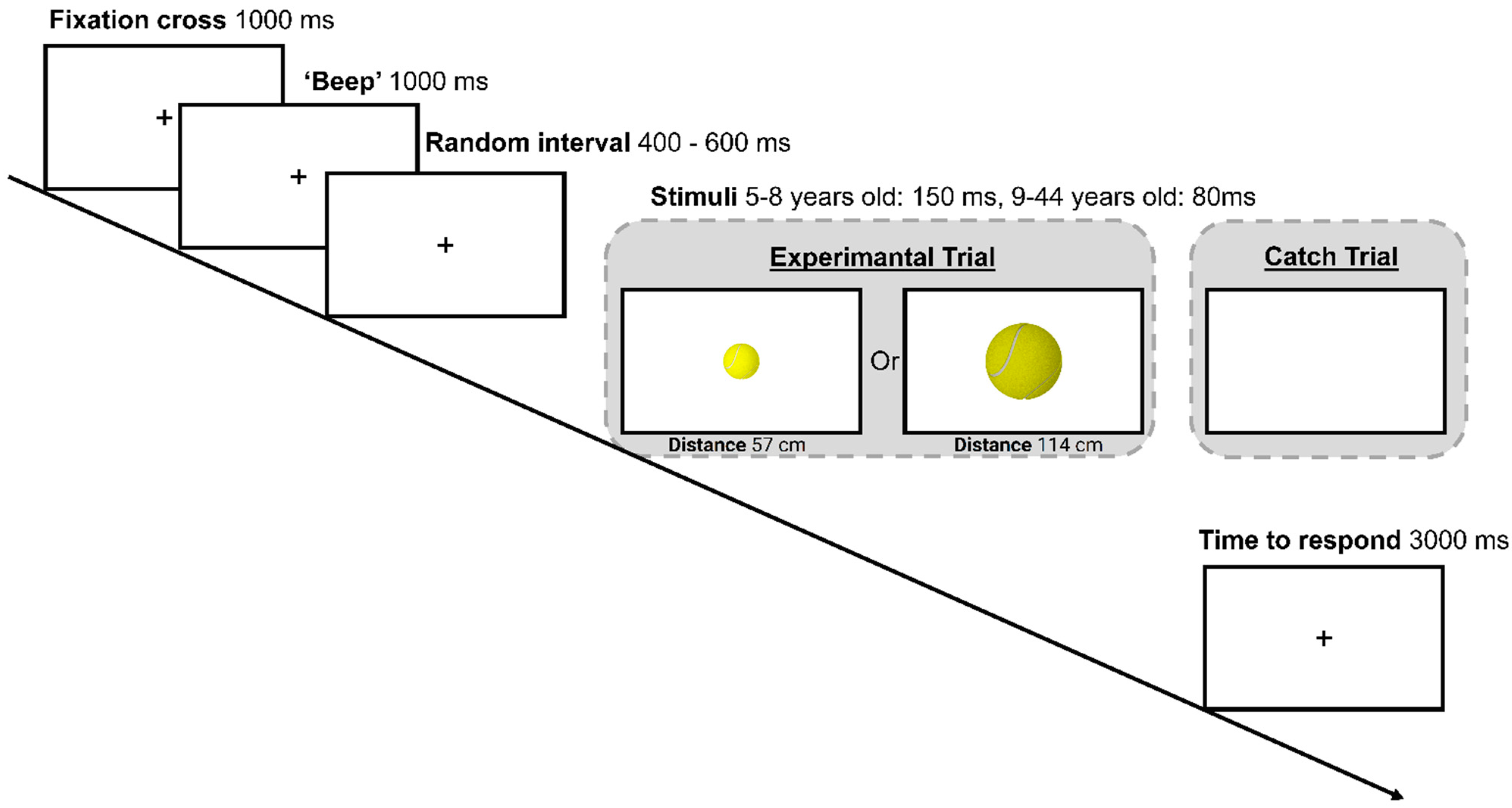 Vision 05 00050 g001