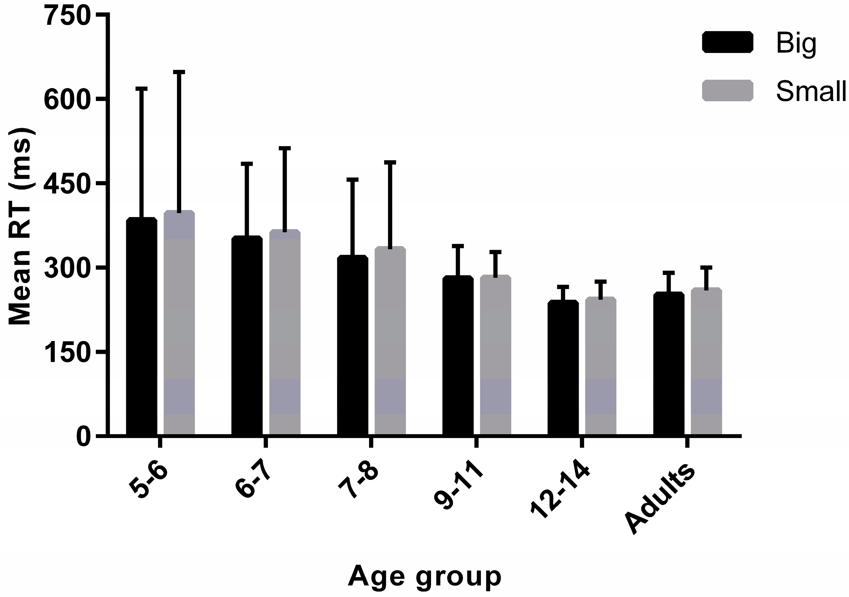 Vision 05 00050 g003