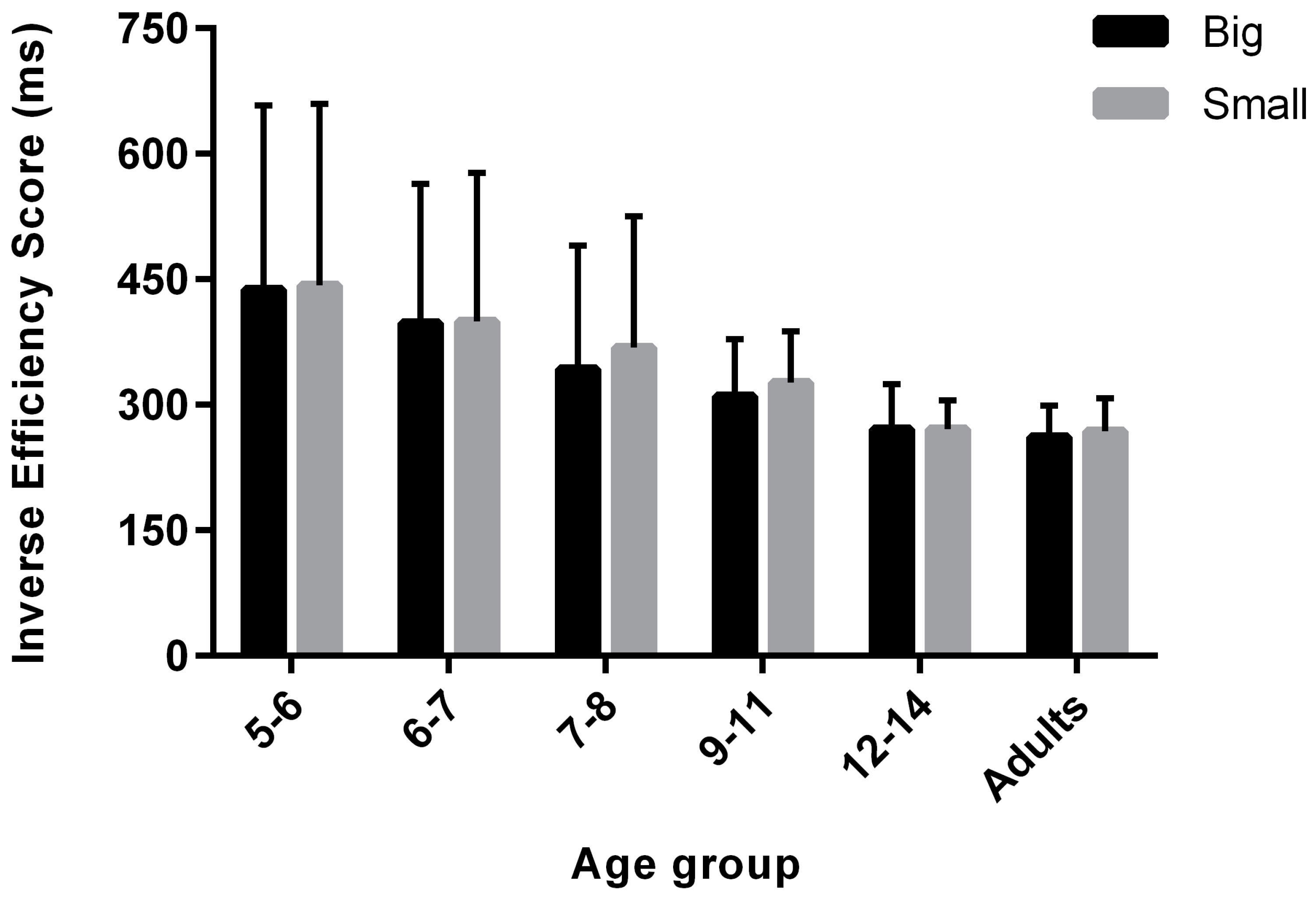 Vision 05 00050 g004