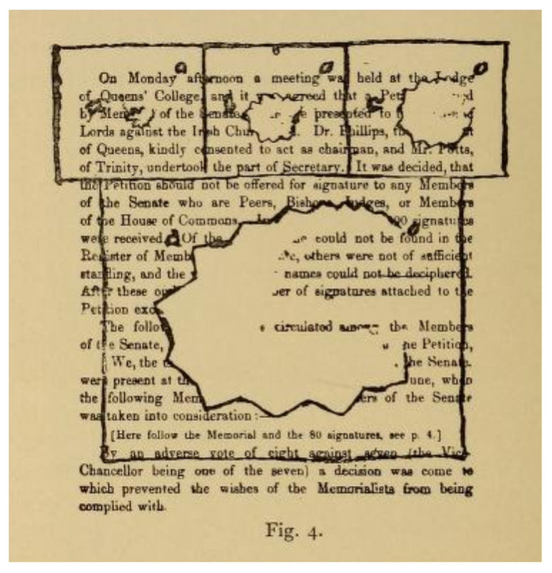 Vision 05 00054 g002