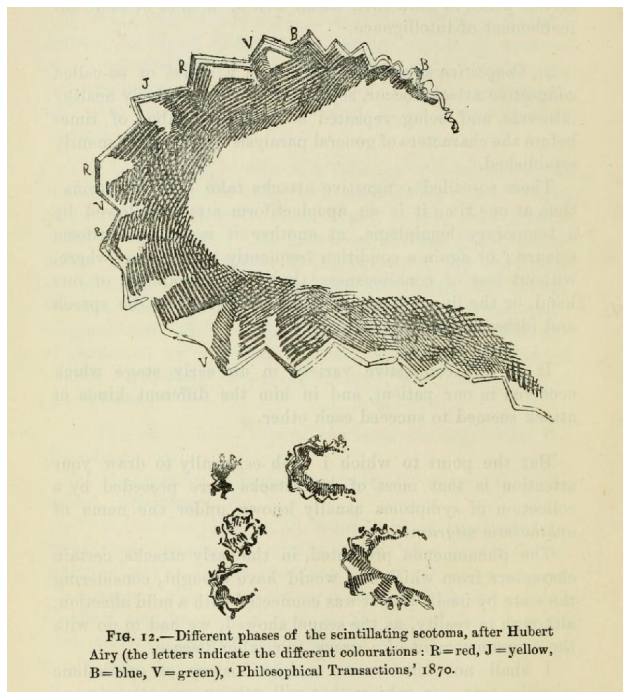 Vision 05 00054 g004