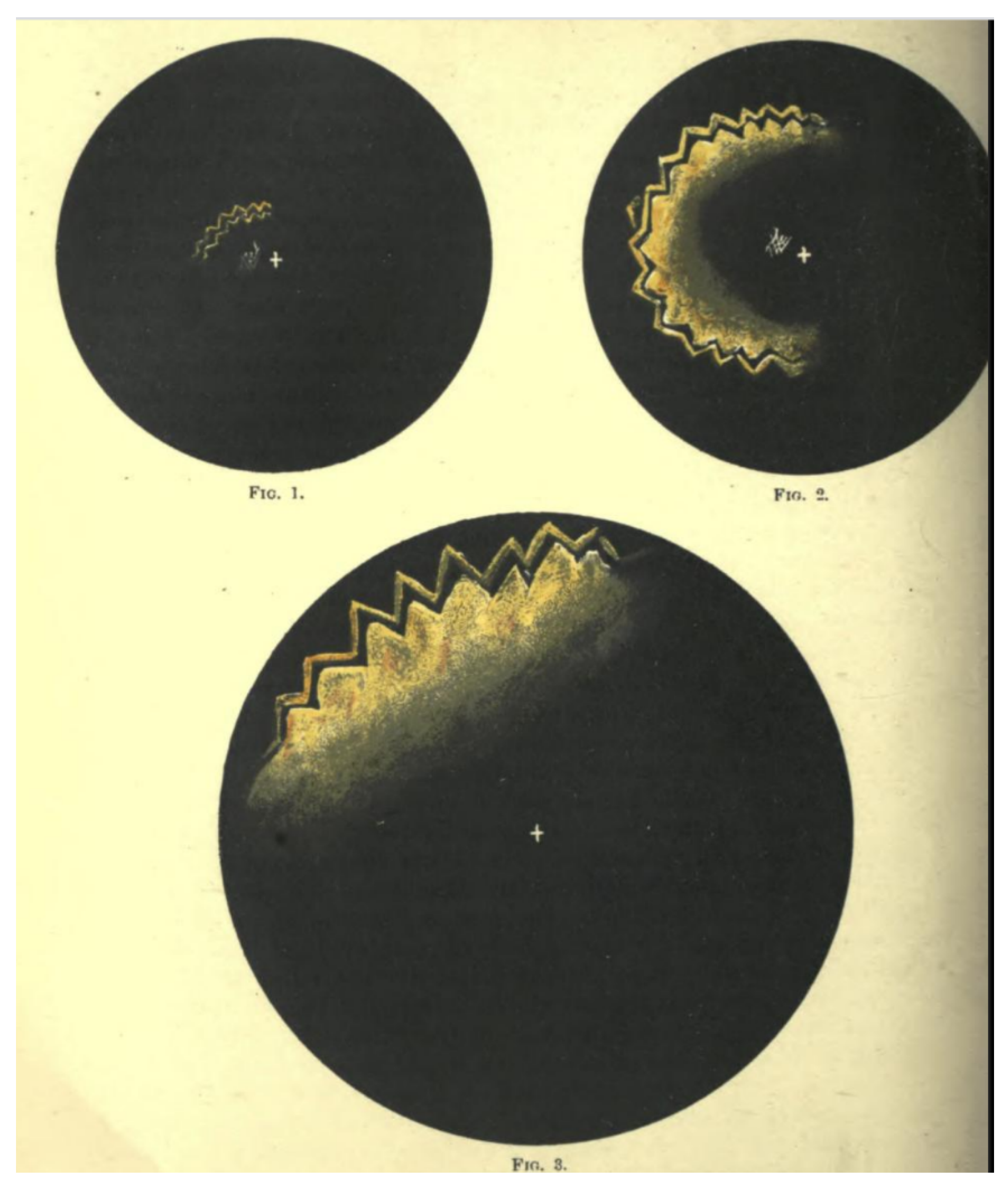 Vision 05 00054 g005