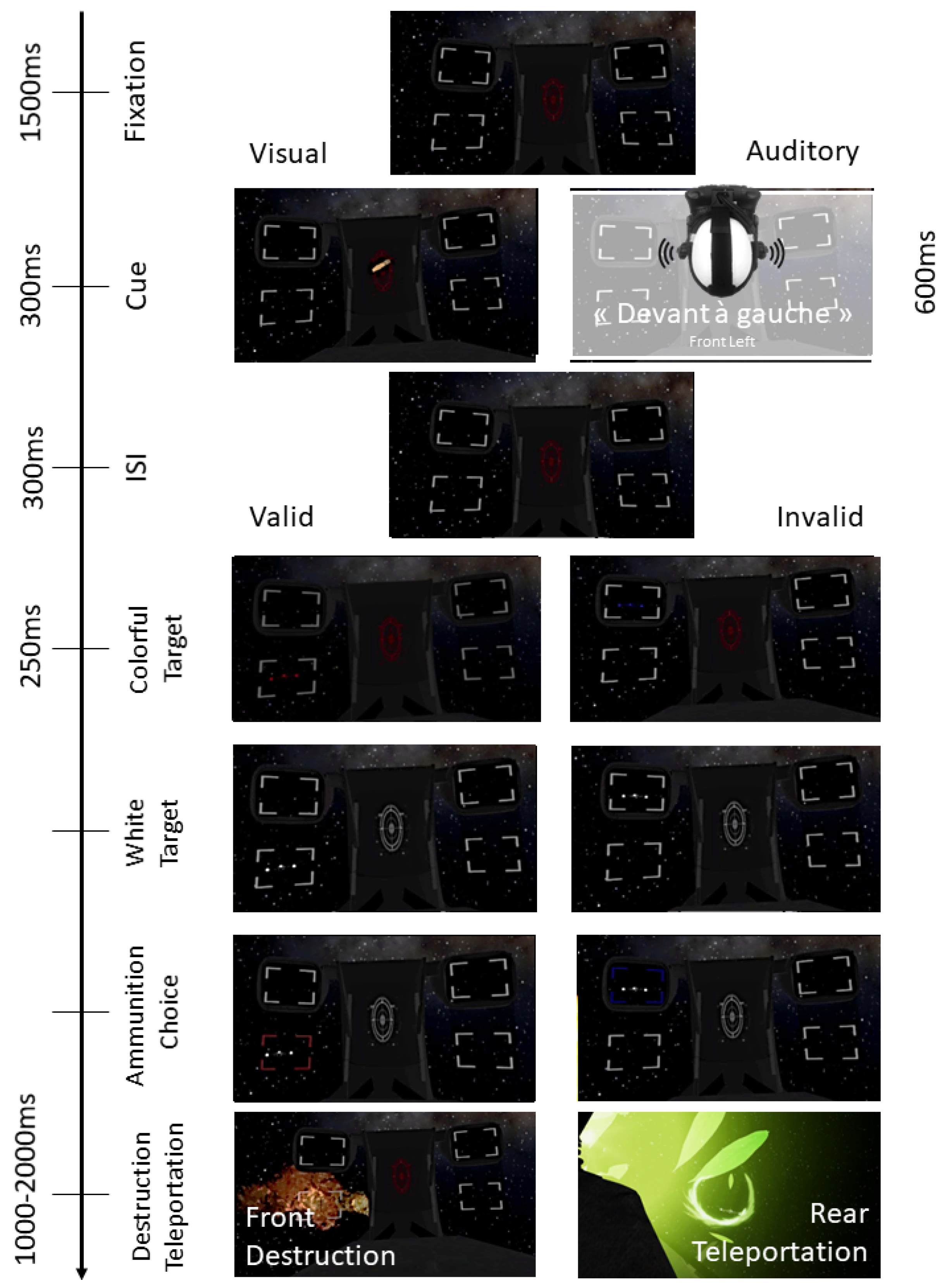 Vision 06 00003 g002