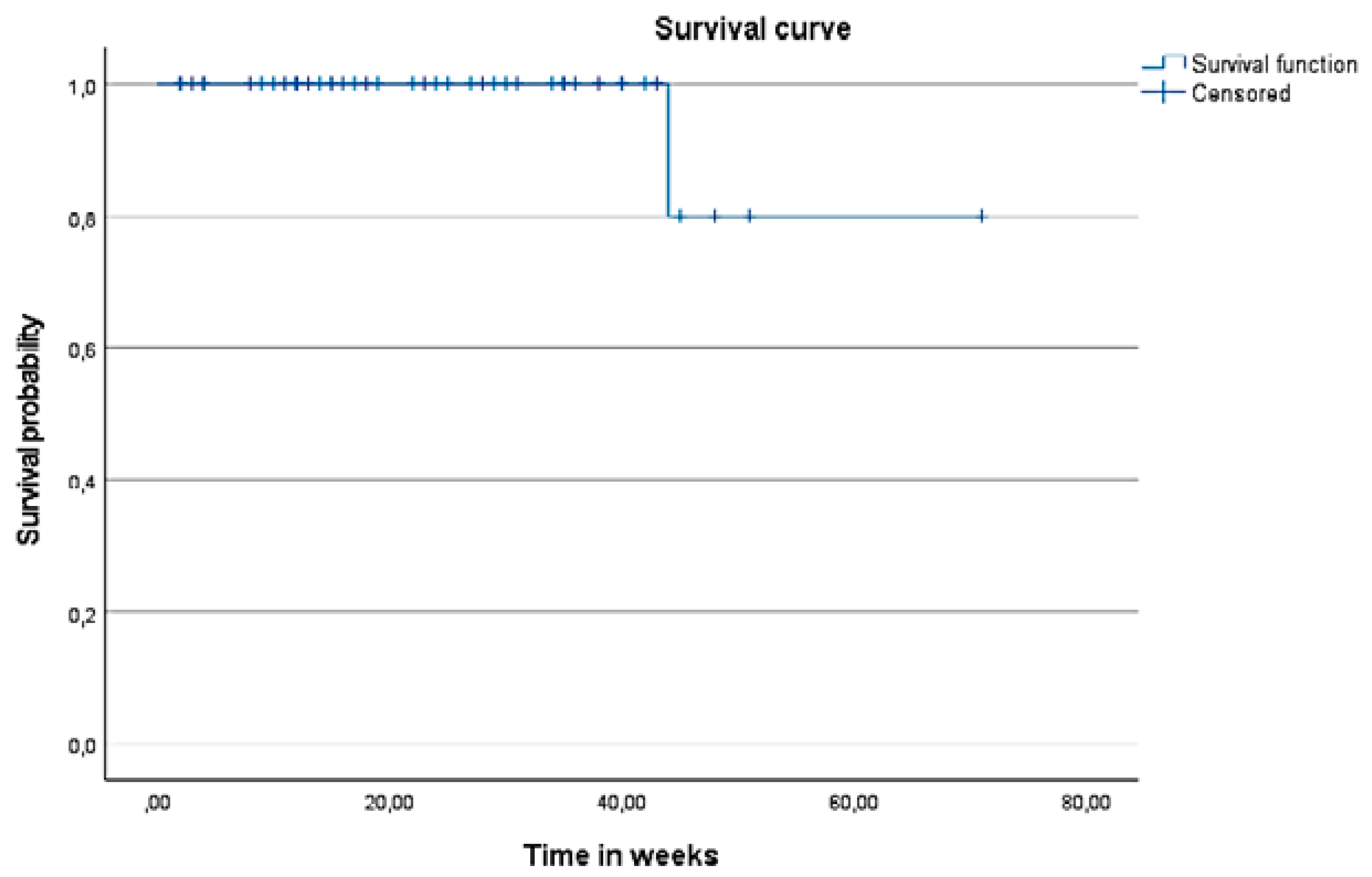 Vision 06 00004 g006