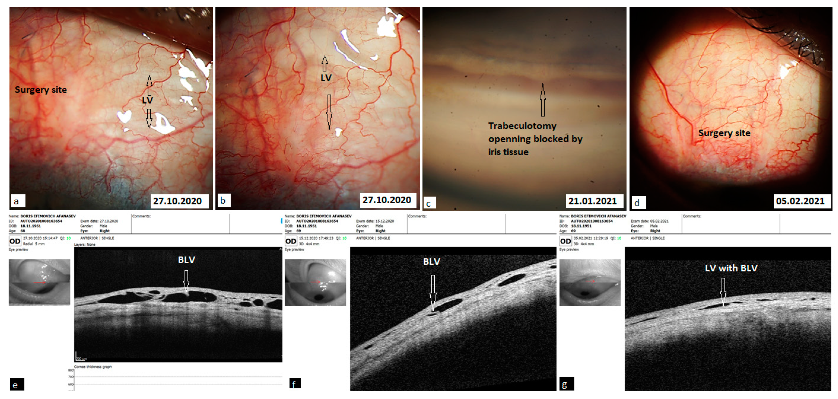 Vision 06 00004 g009