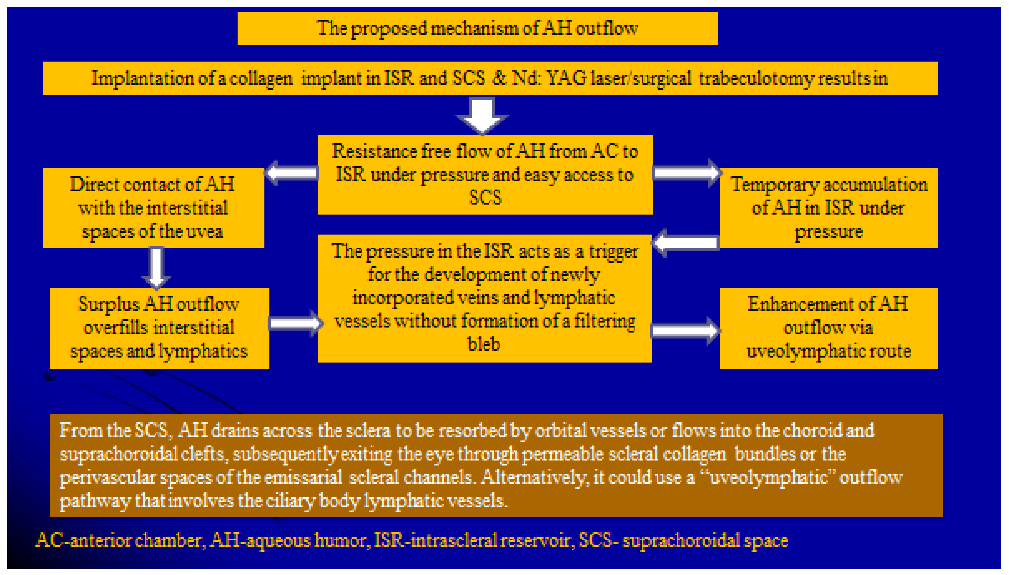 Vision 06 00004 g010