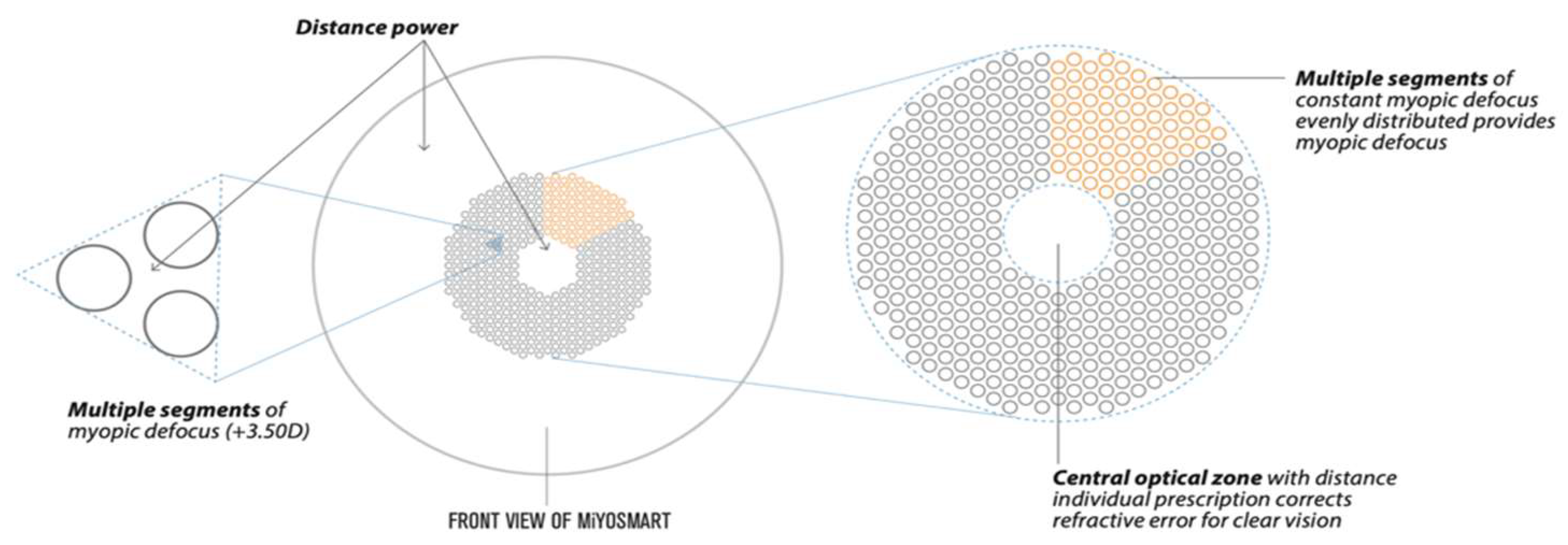 Vision 06 00020 g001