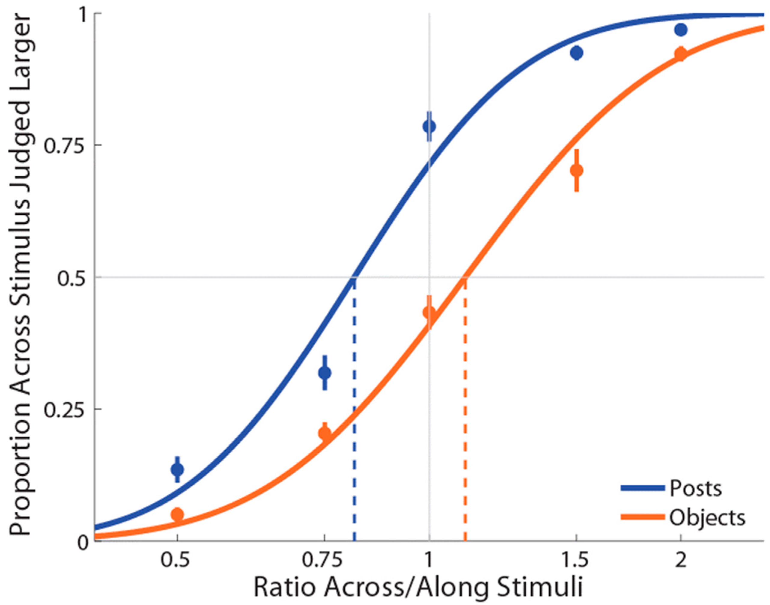 Vision 06 00040 g002