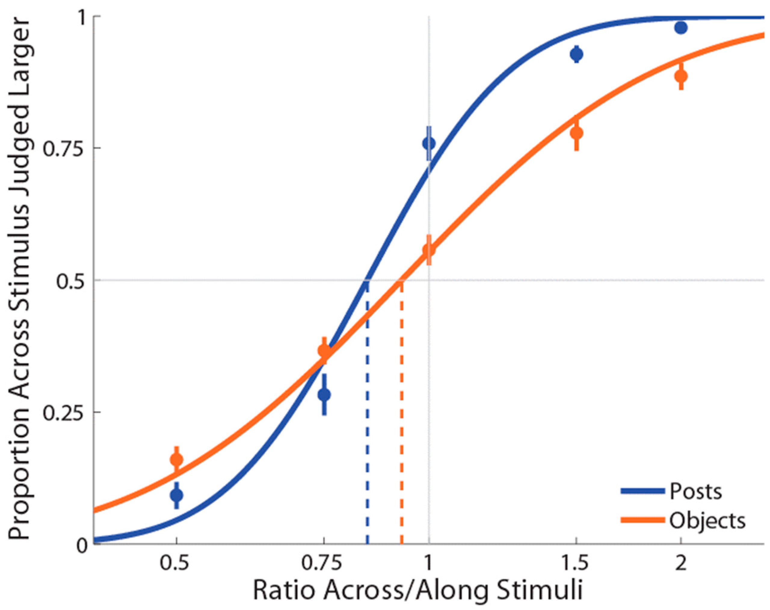 Vision 06 00040 g003