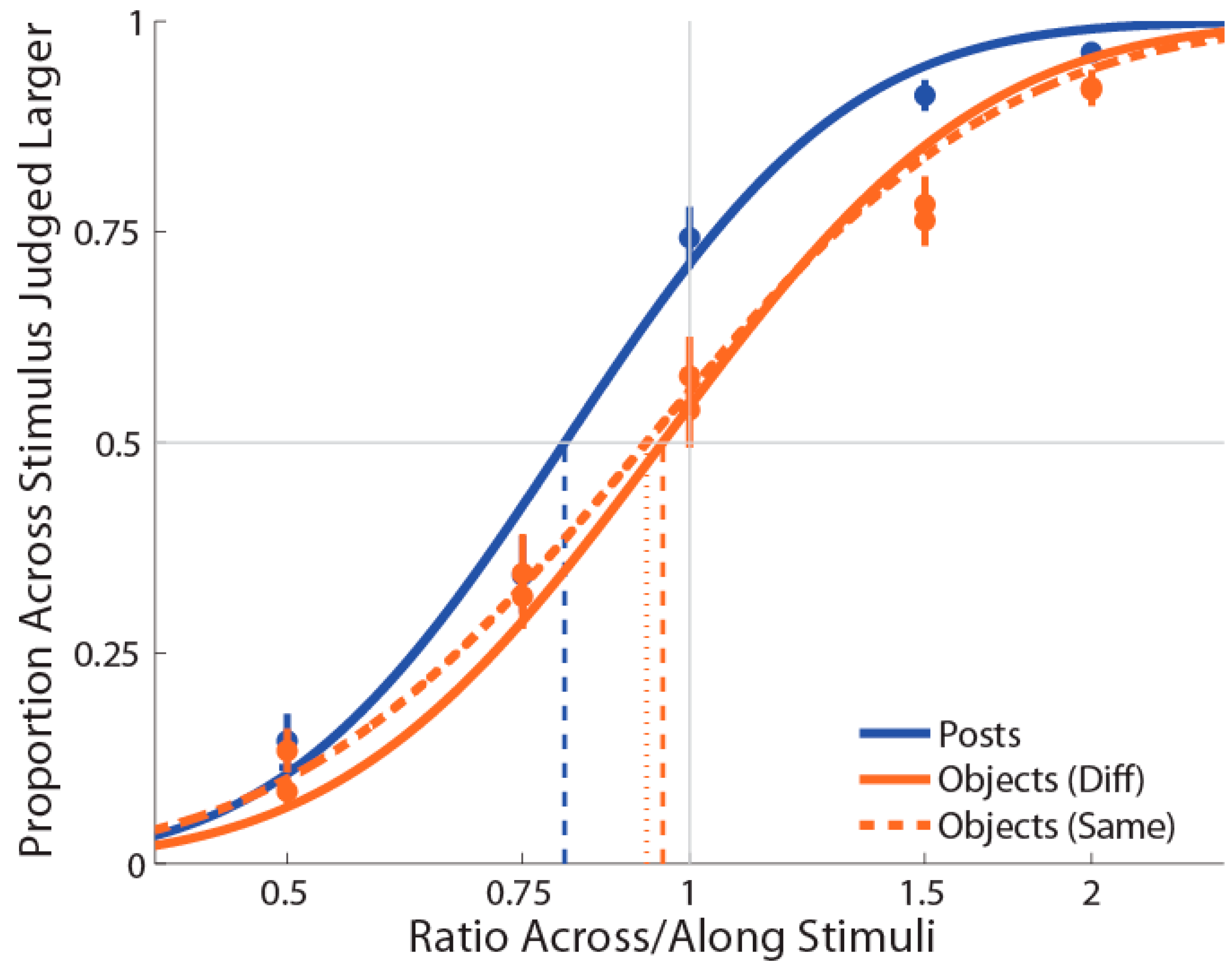 Vision 06 00040 g005