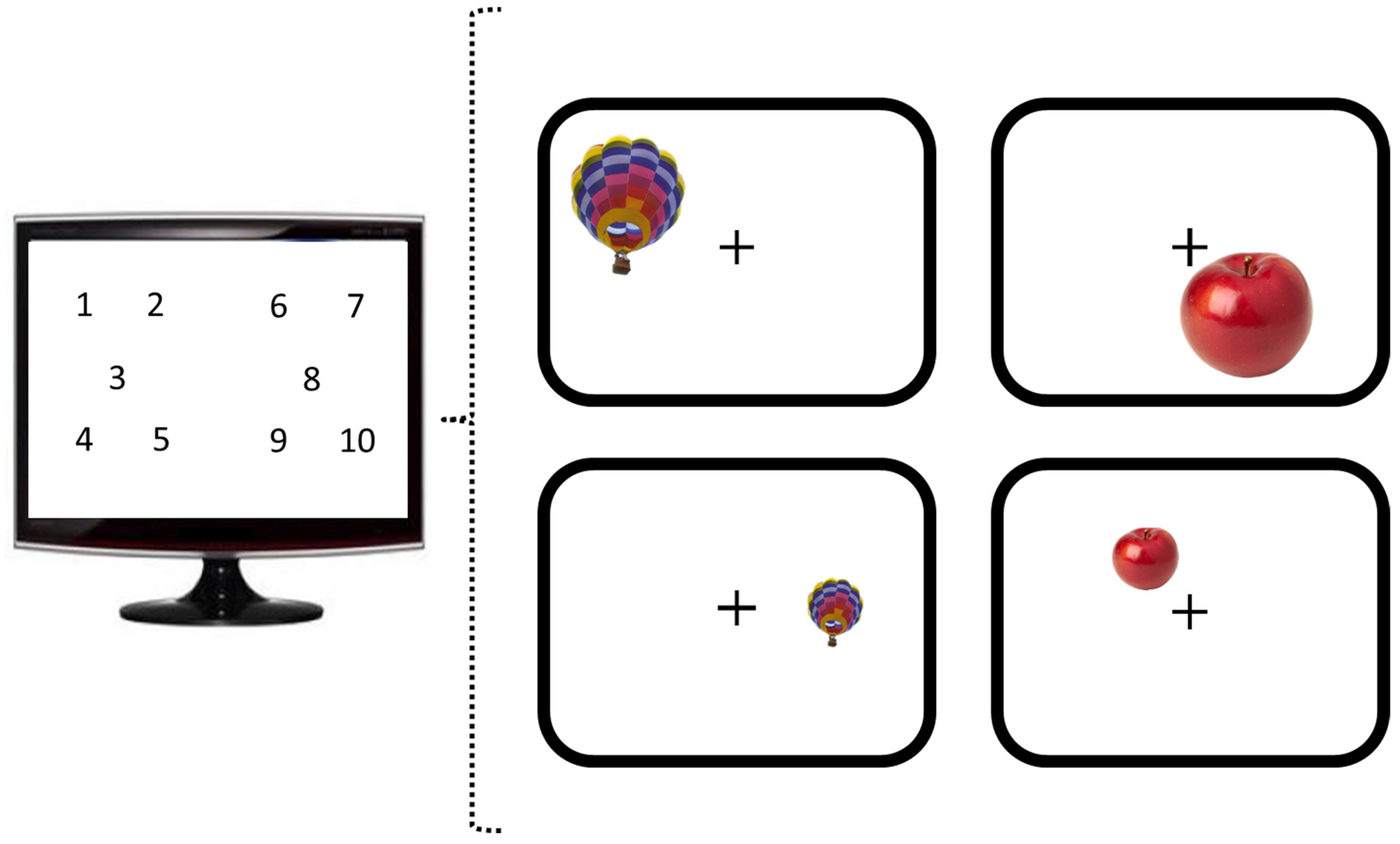 Vision 06 00041 g002 Vision 06 00041 g002