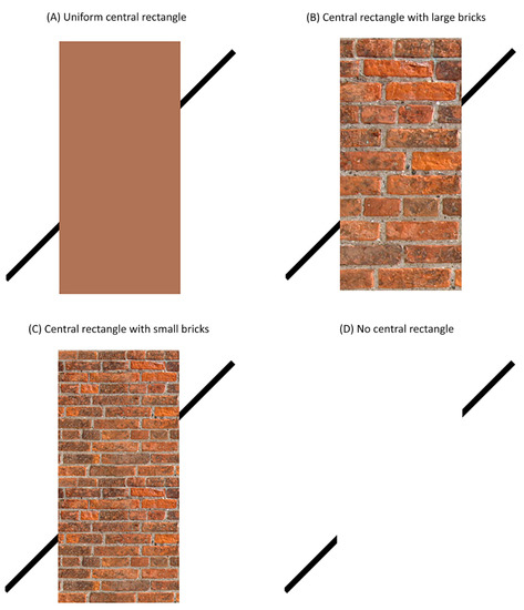 Vision 06 00044 g001