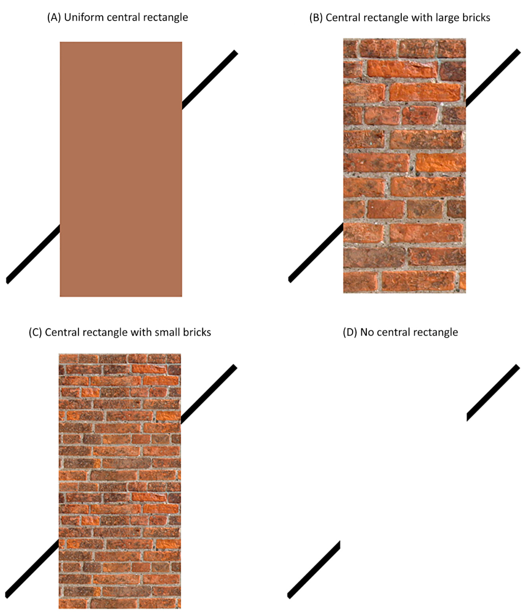 Vision 06 00044 g001