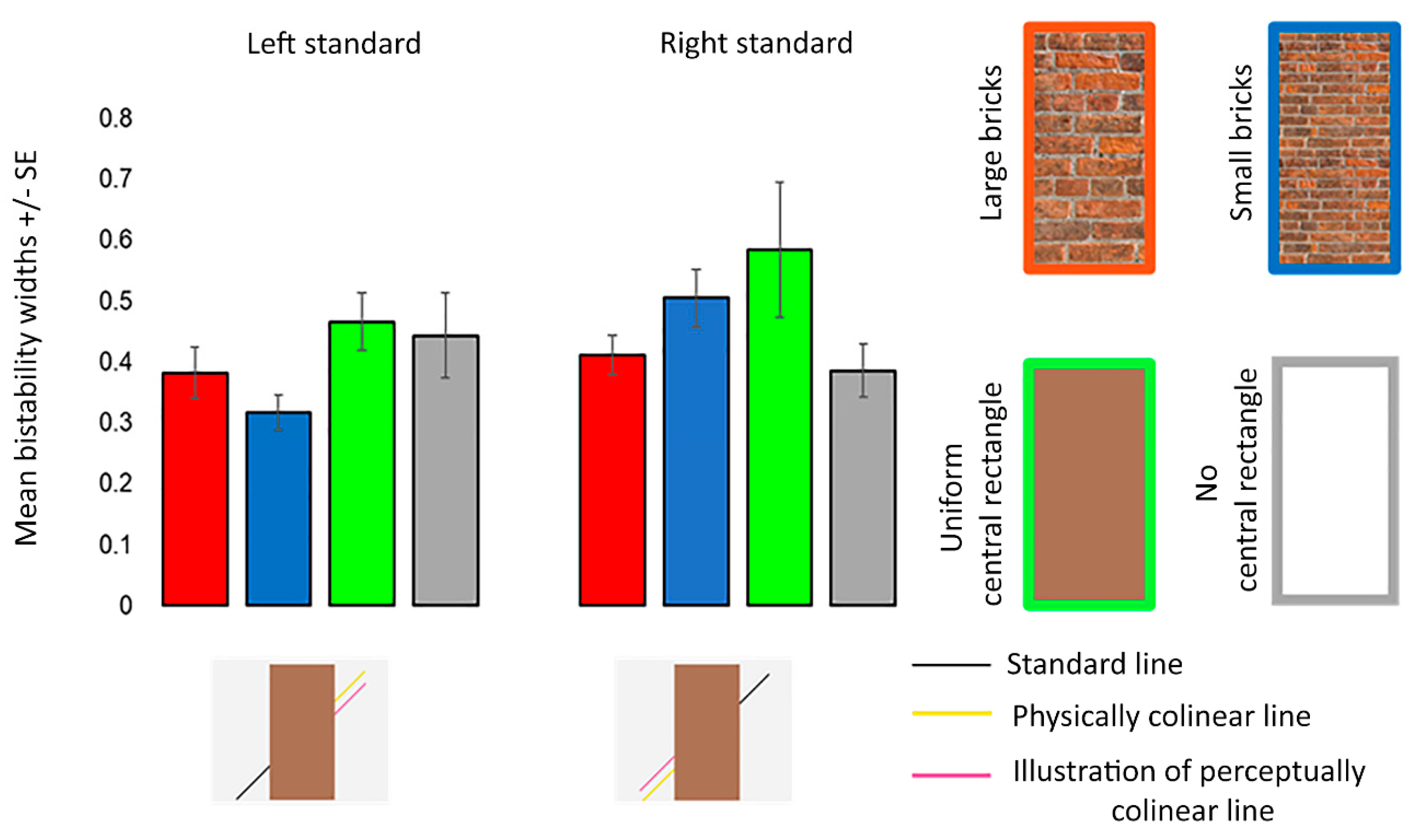 Vision 06 00044 g006