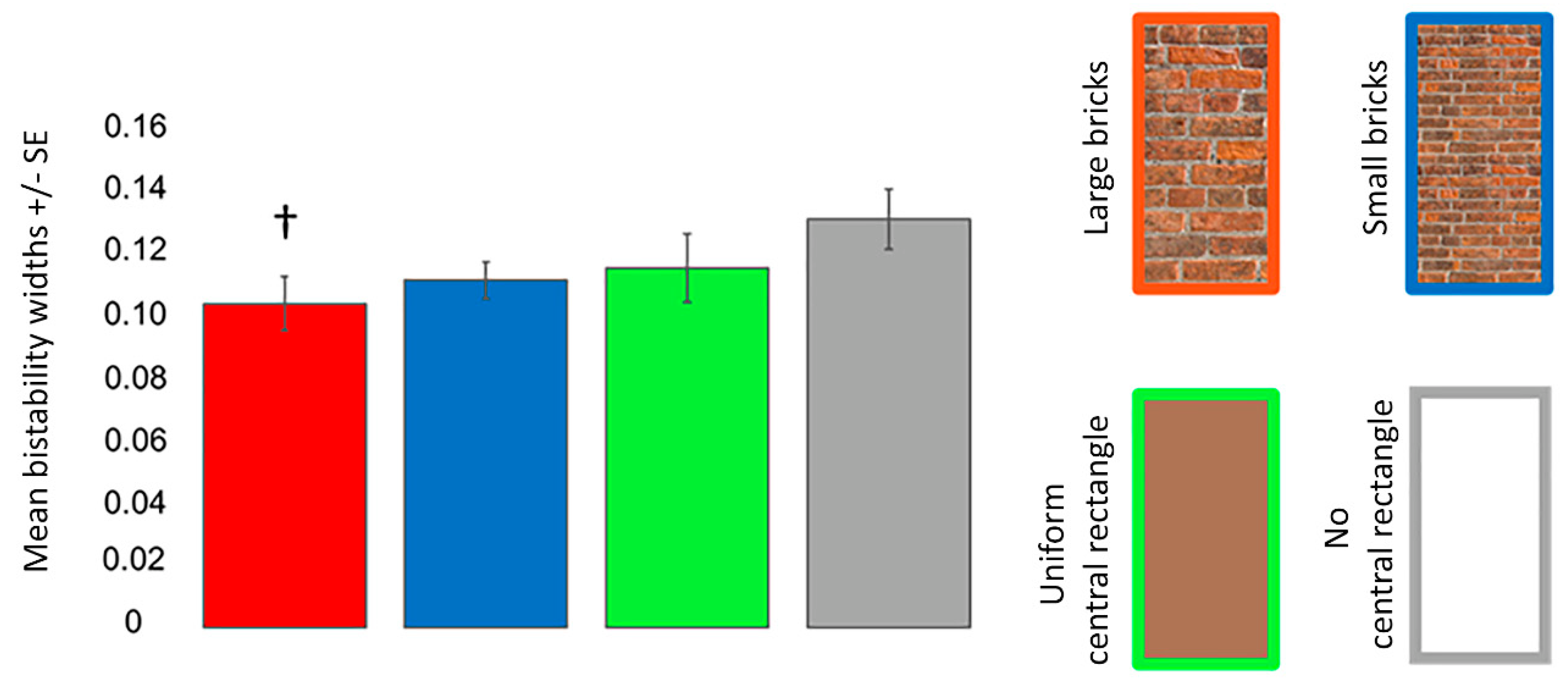 Vision 06 00044 g008