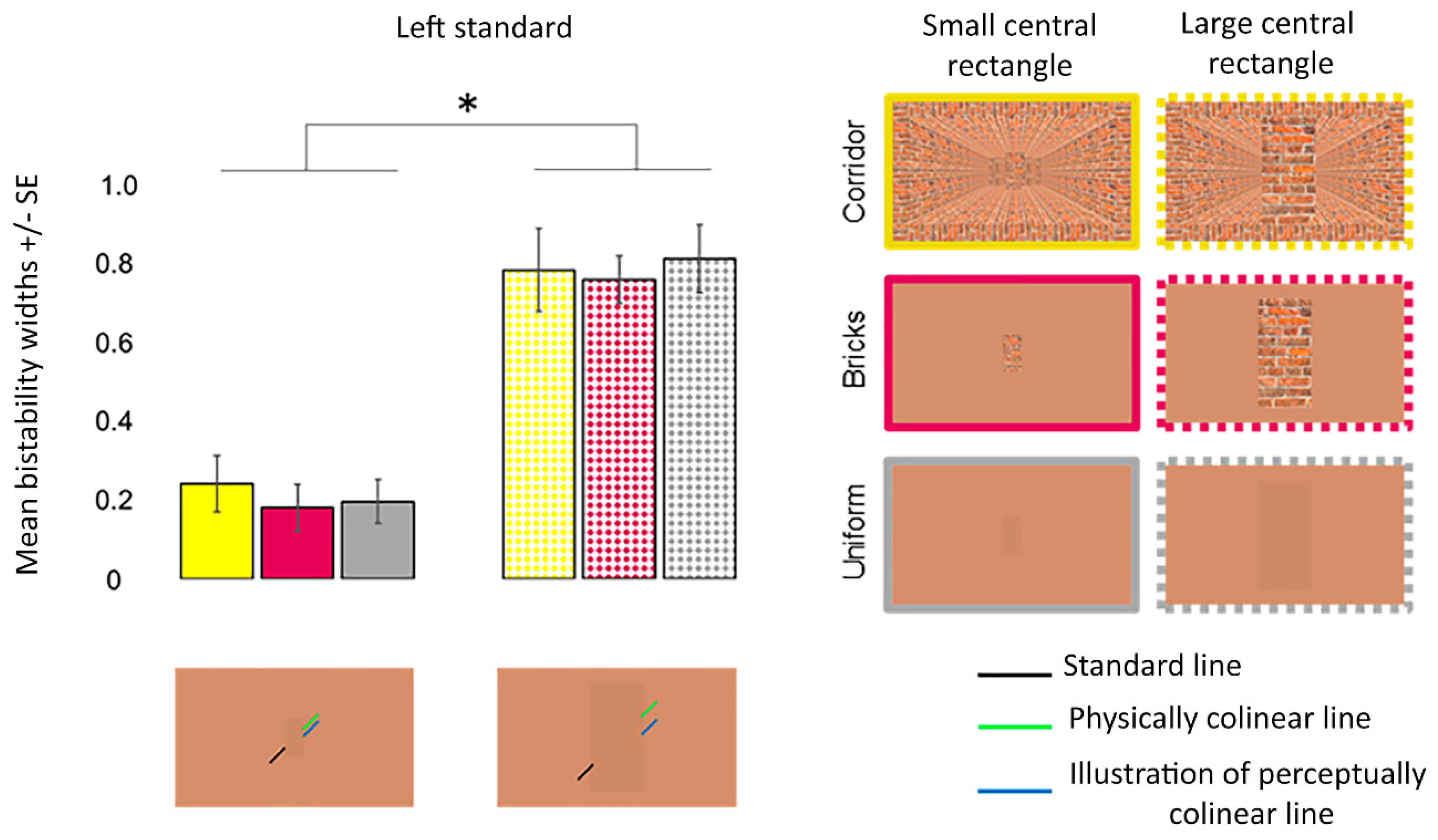 Vision 06 00044 g010