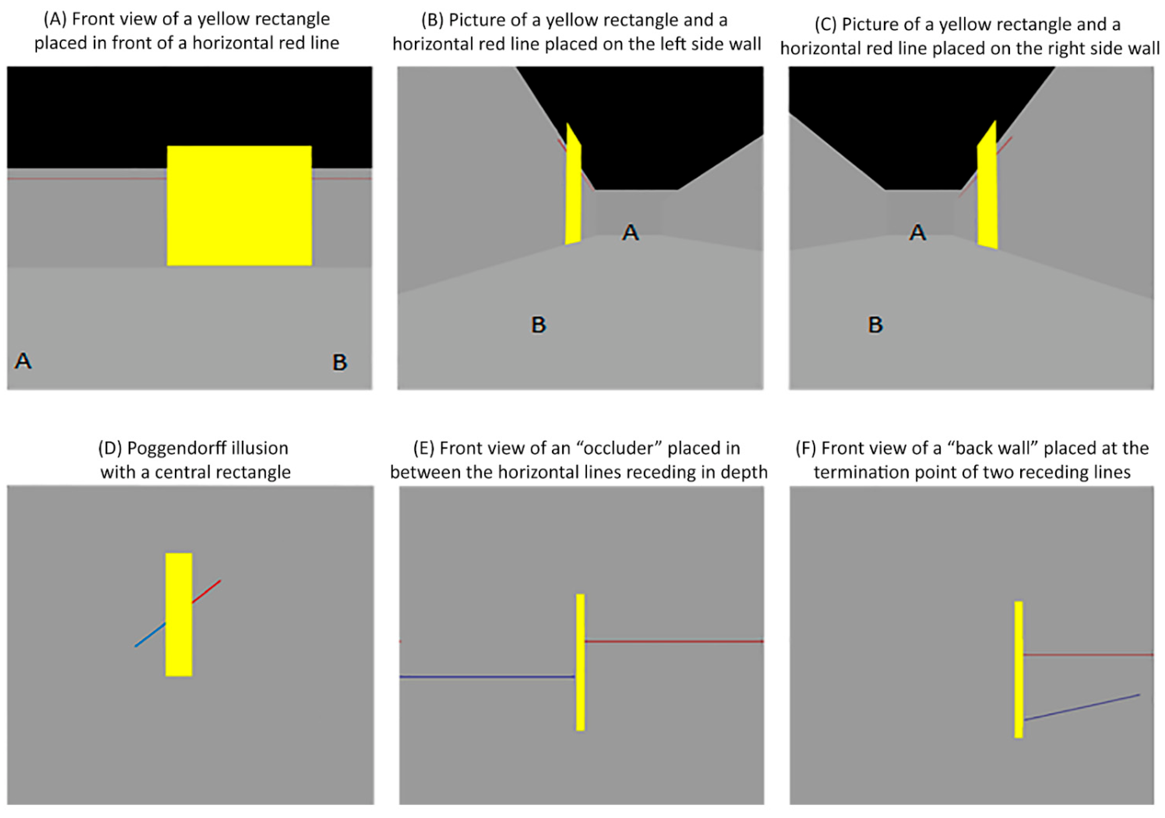 Vision 06 00044 g011