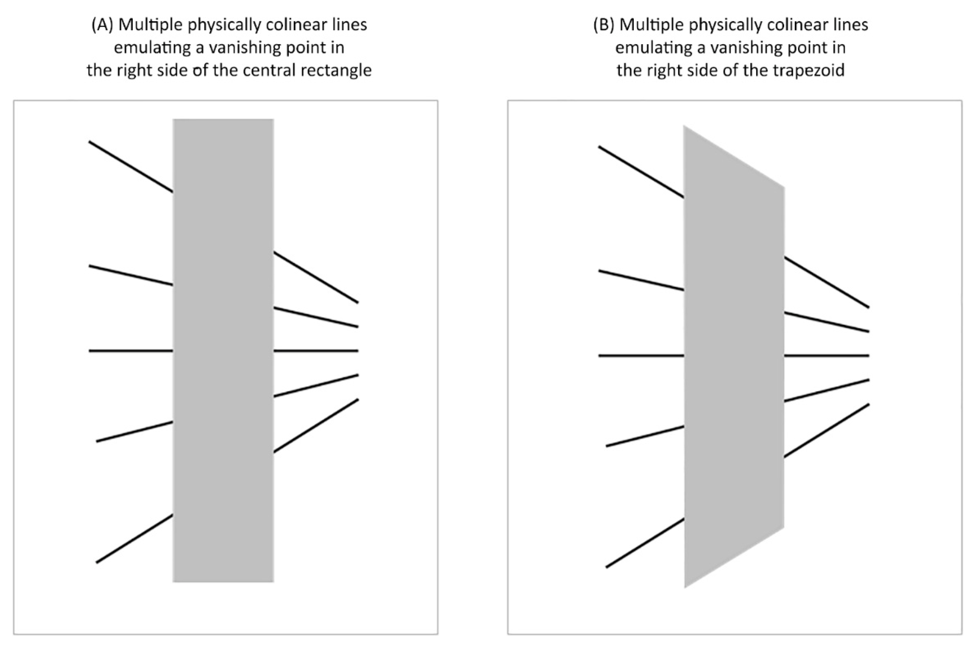 Vision 06 00044 g012
