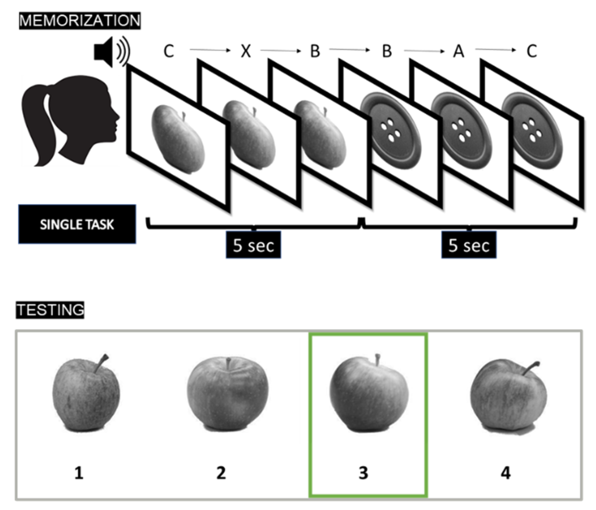 Vision 06 00048 g003