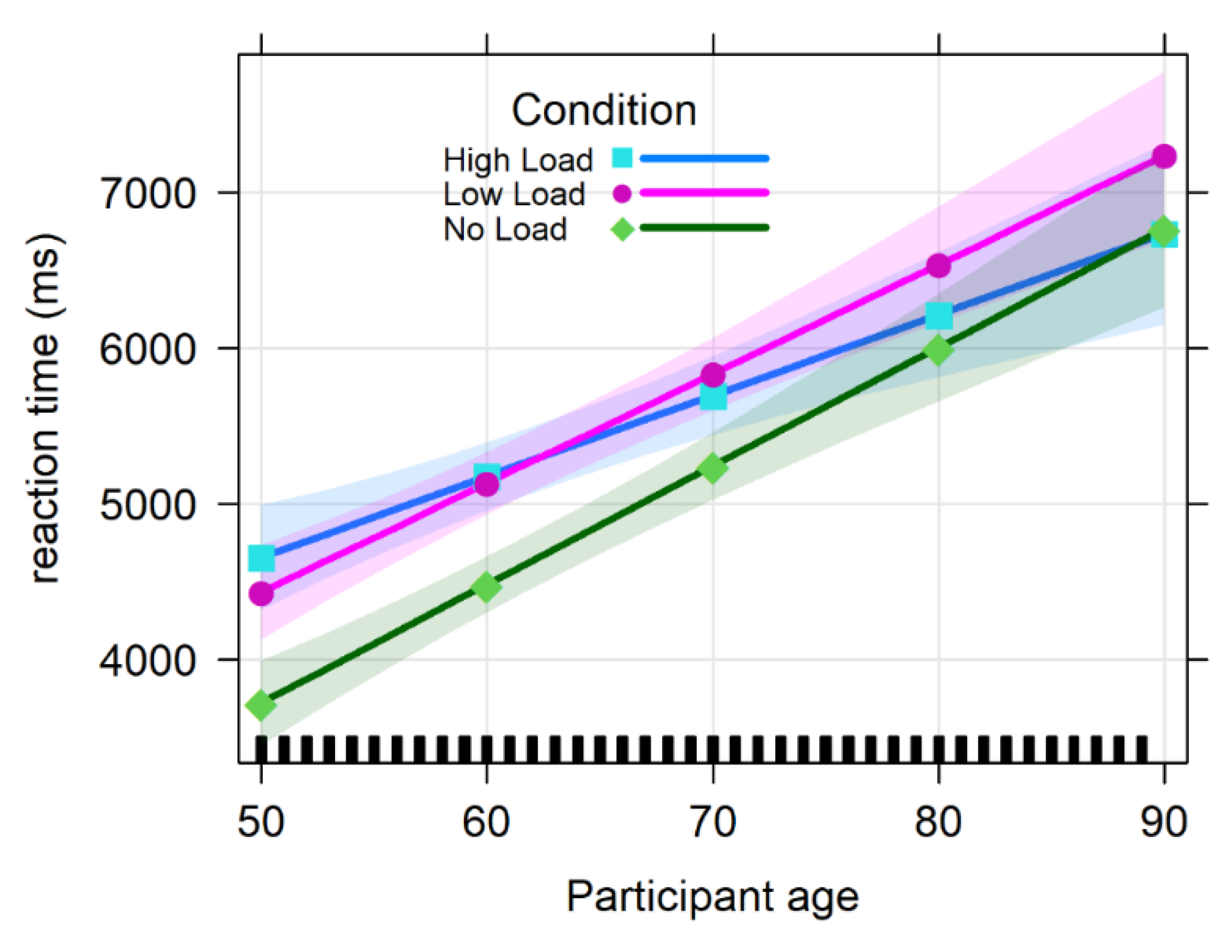 Vision 06 00048 g0a1