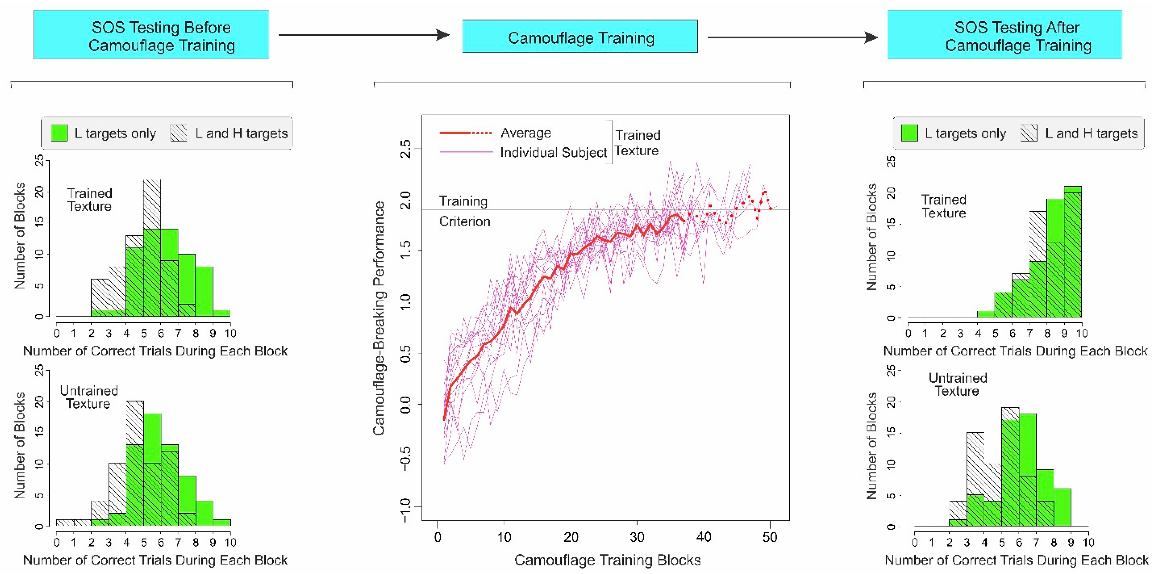 Vision 06 00049 g002