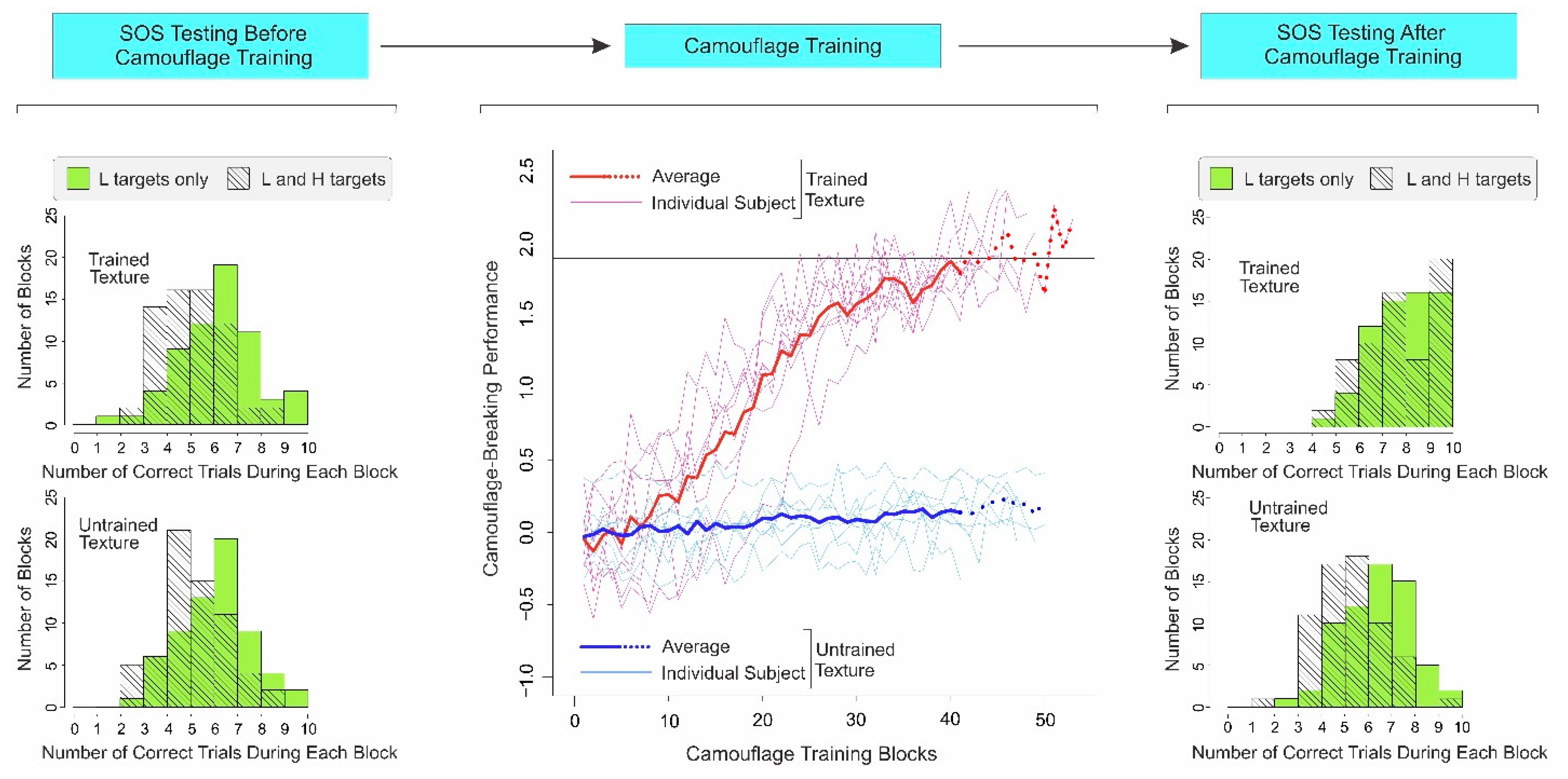 Vision 06 00049 g003