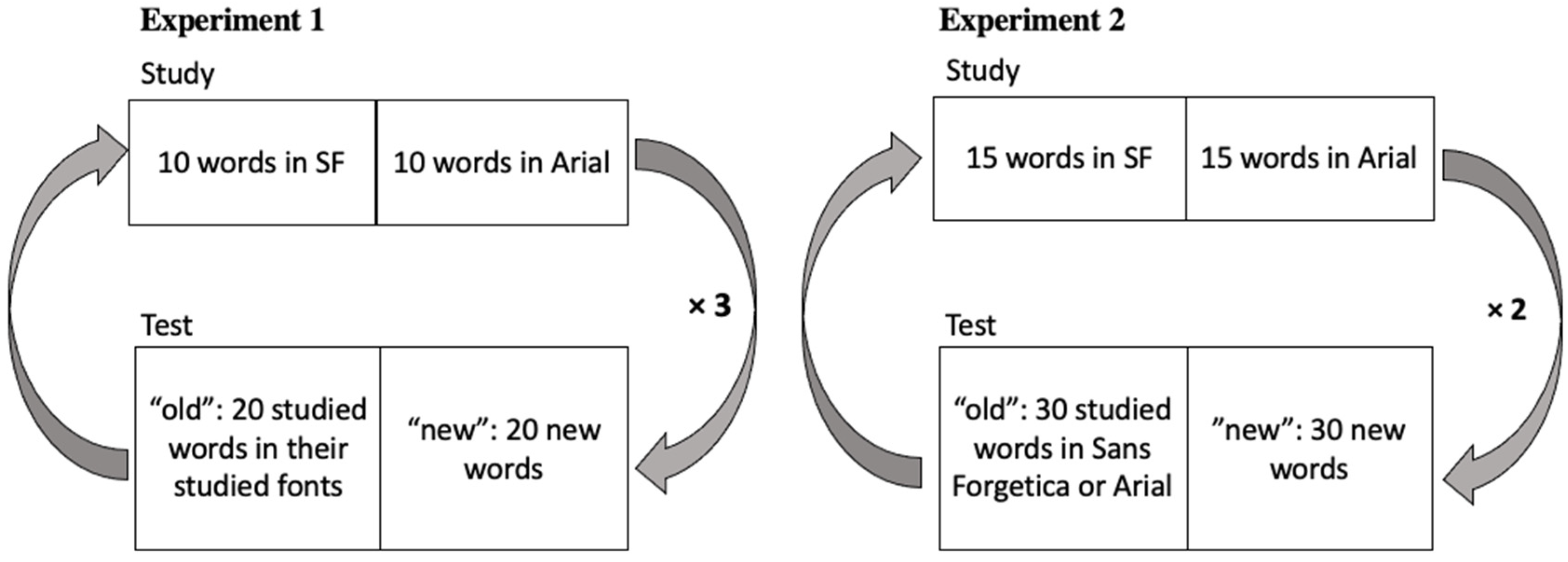 Vision 06 00052 g003