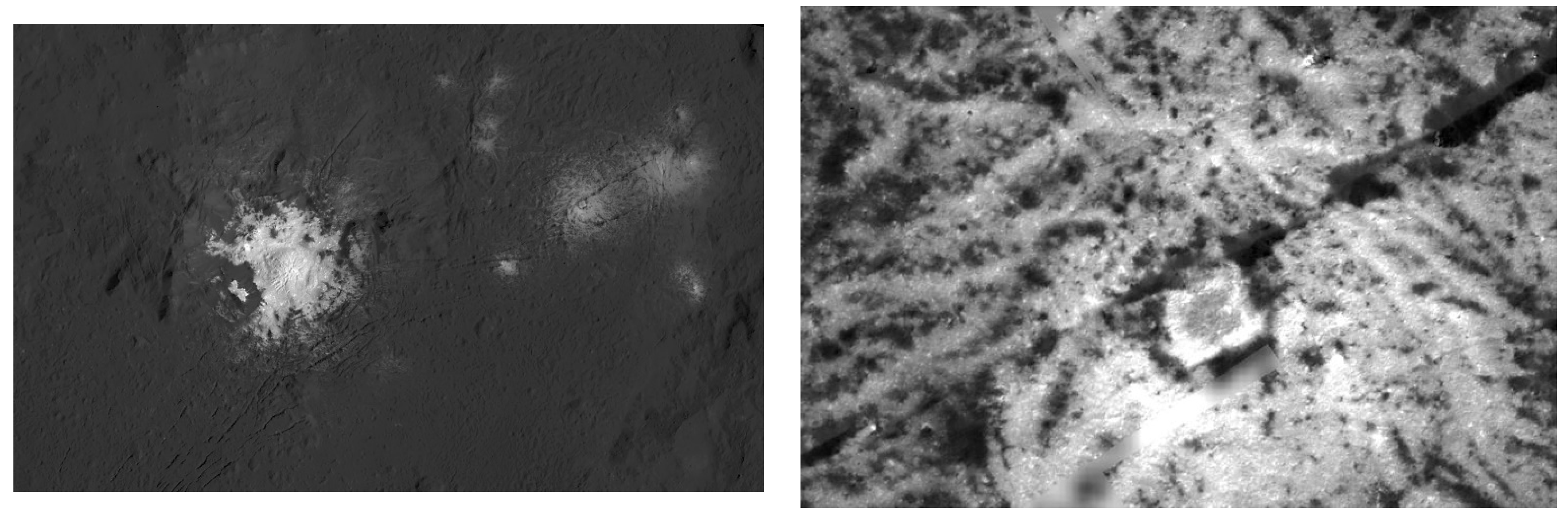 Vision 06 00054 g001