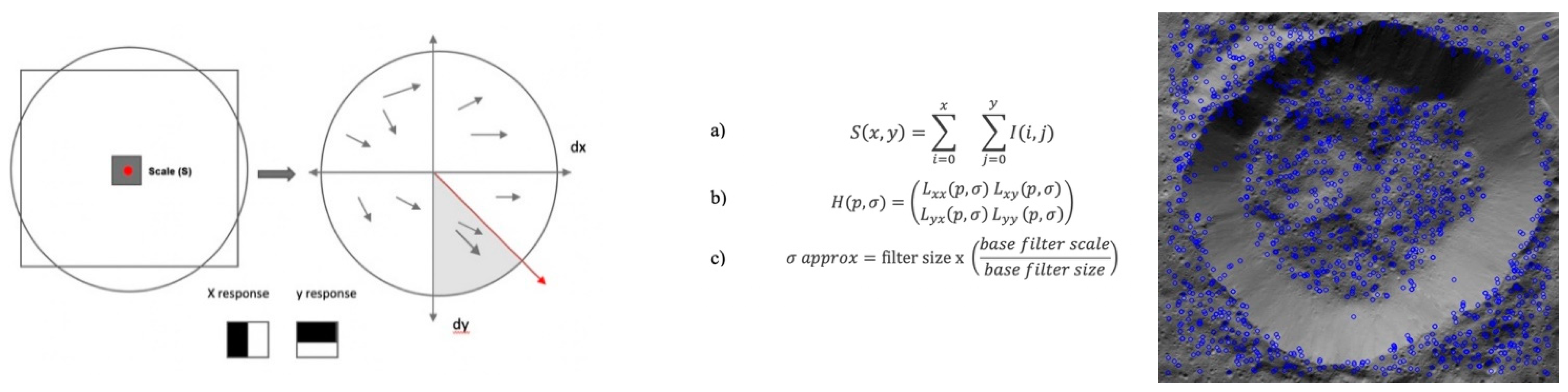 Vision 06 00054 g005