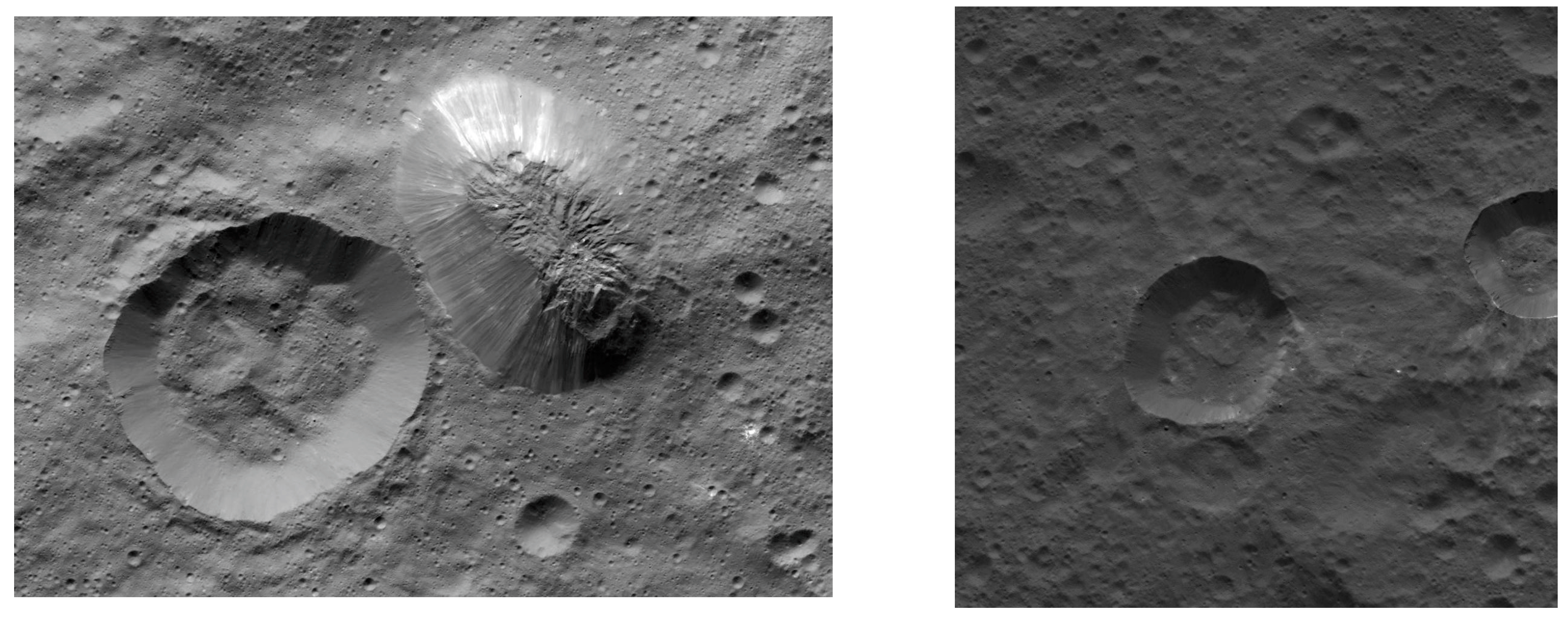 Vision 06 00054 g006