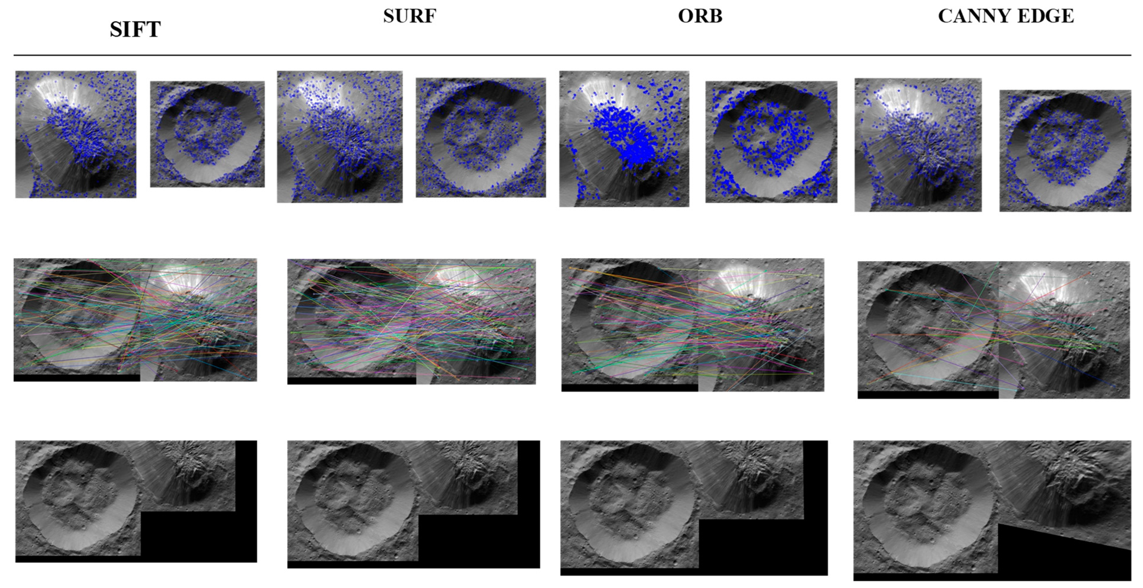 Vision 06 00054 g007