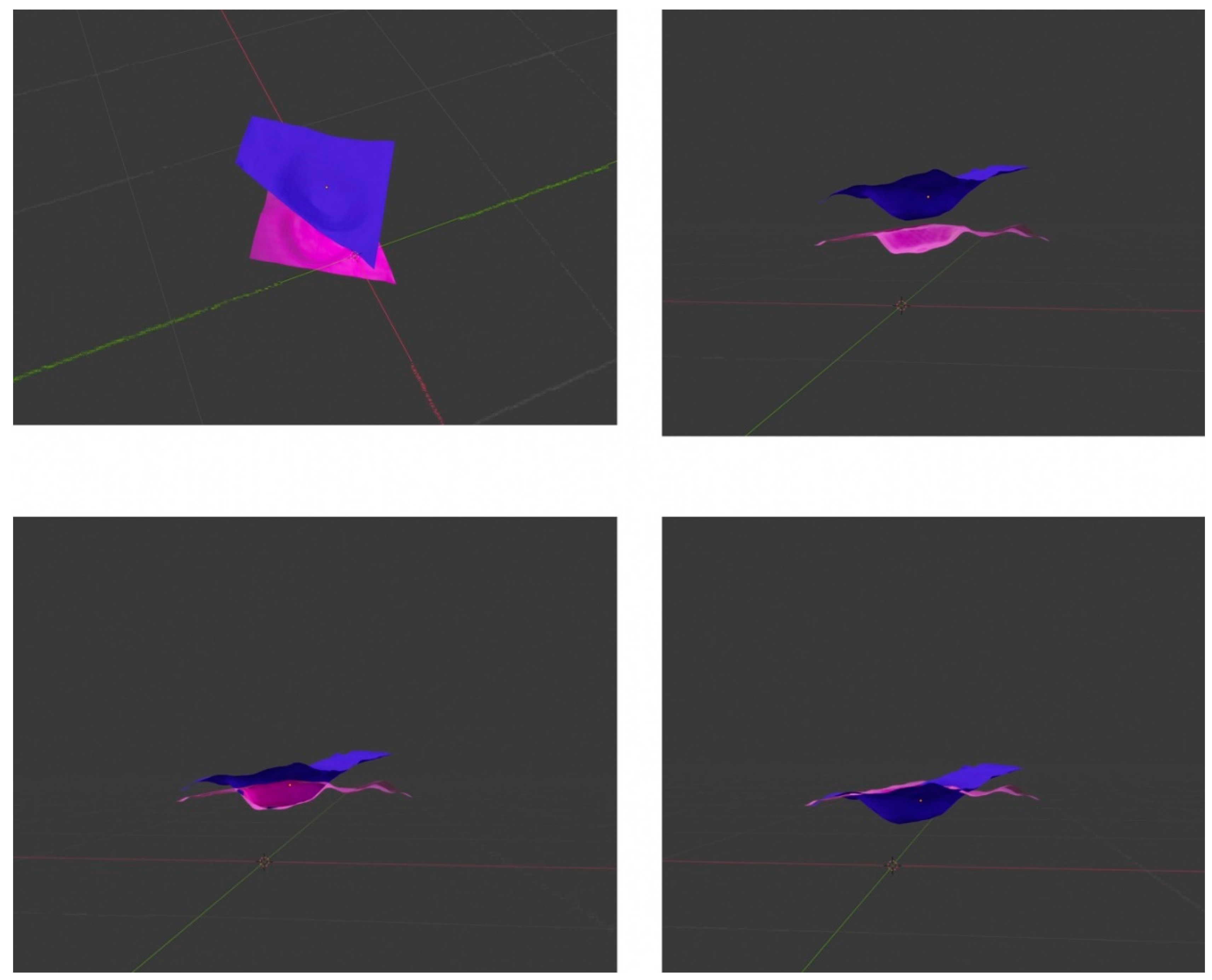 Vision 06 00054 g010