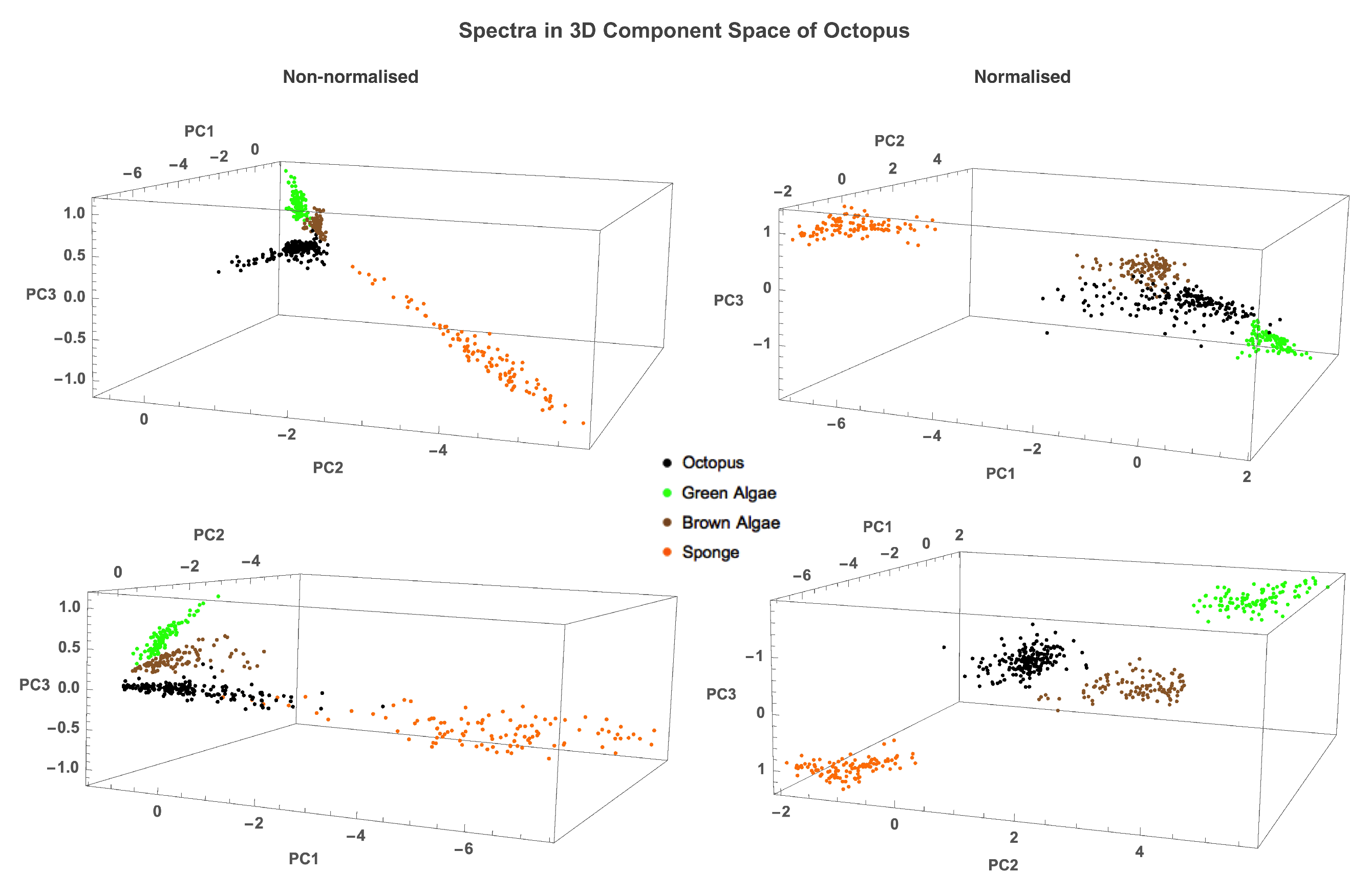 Vision 06 00059 g005