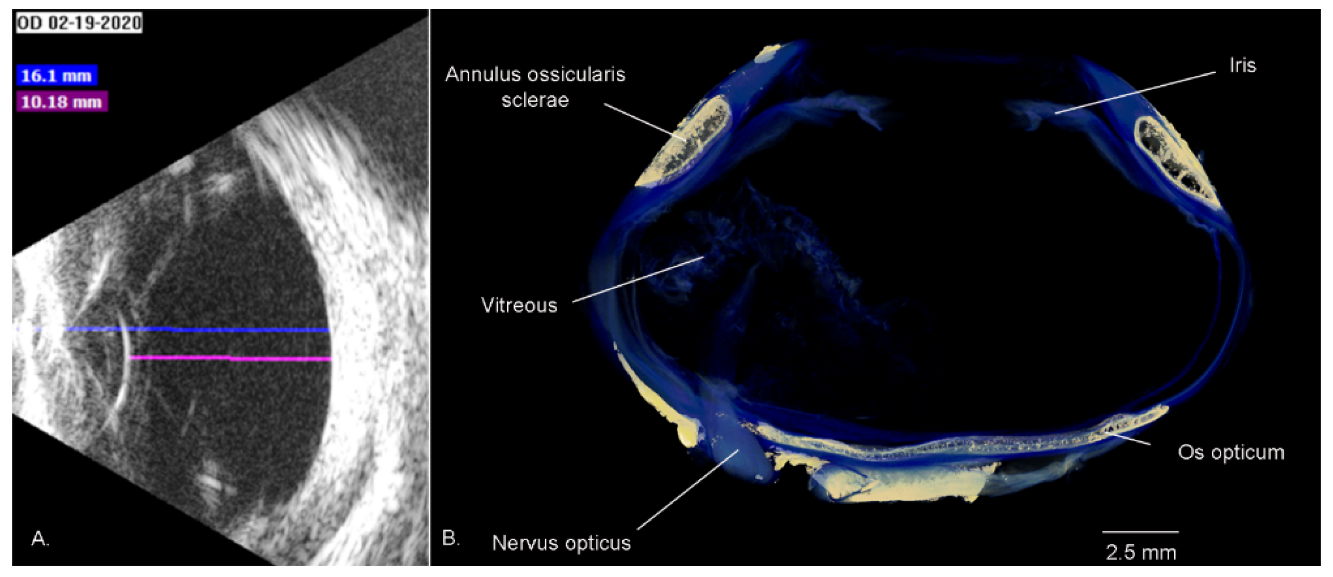 Vision 07 00006 g005