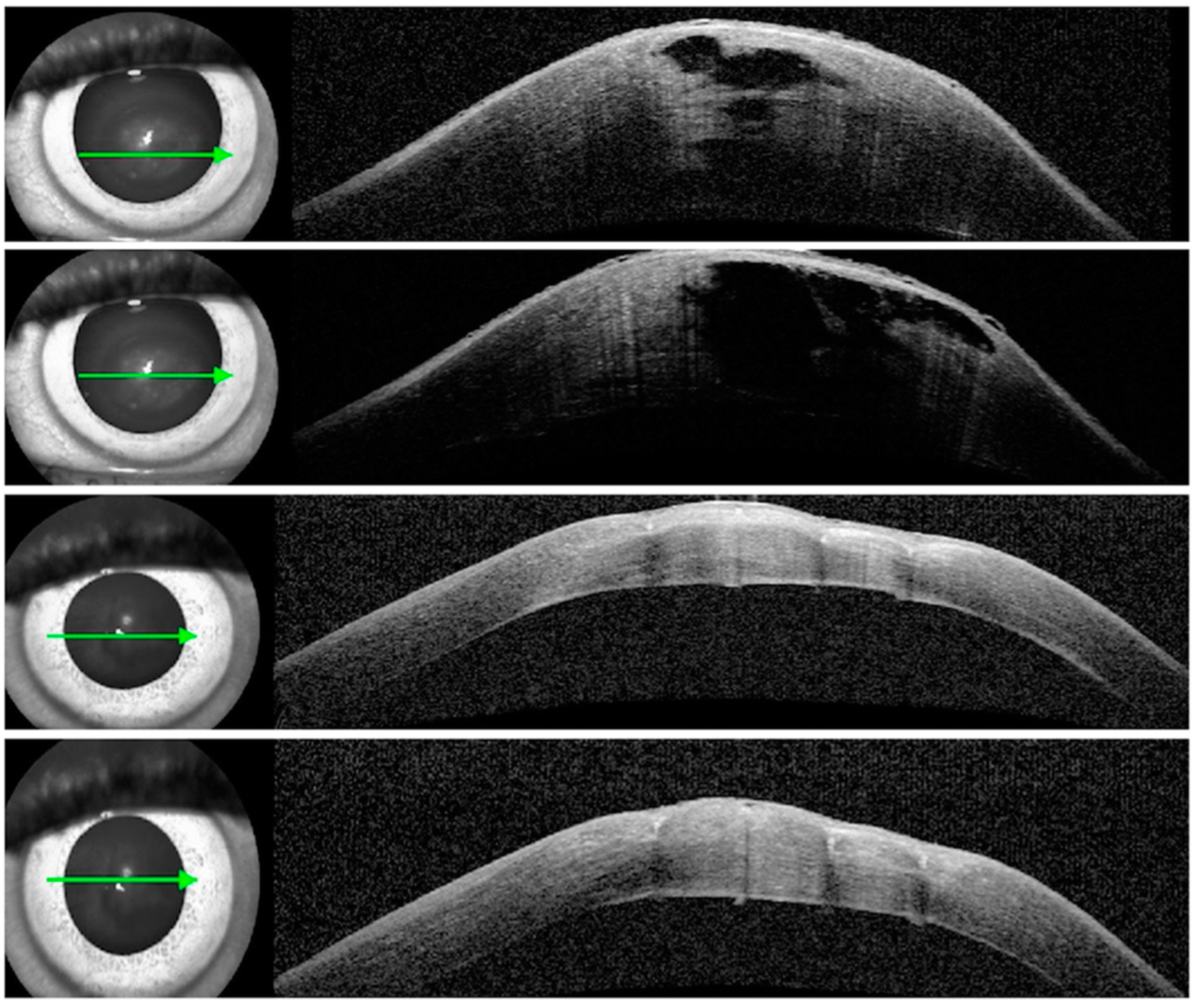 Vision 07 00010 g003