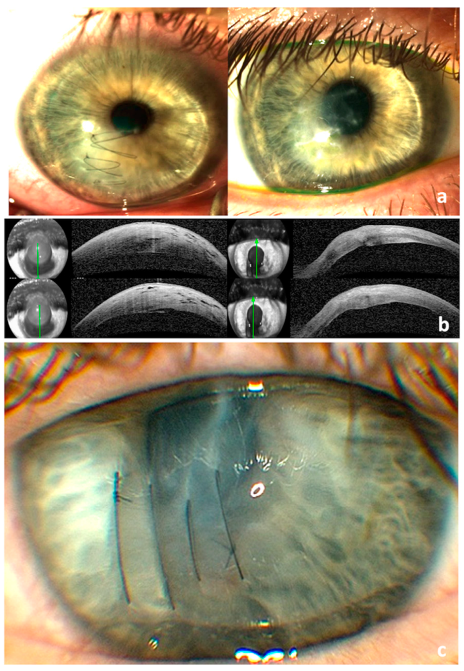 Vision 07 00010 g005