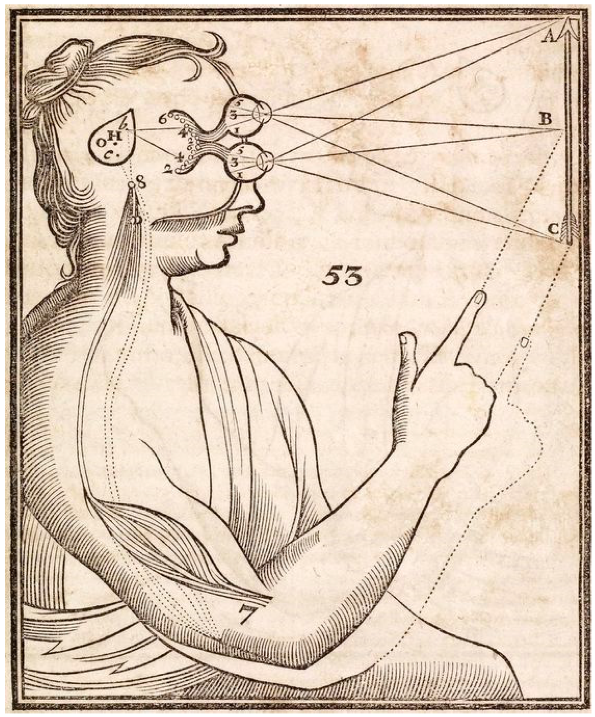 Vision 07 00012 g001