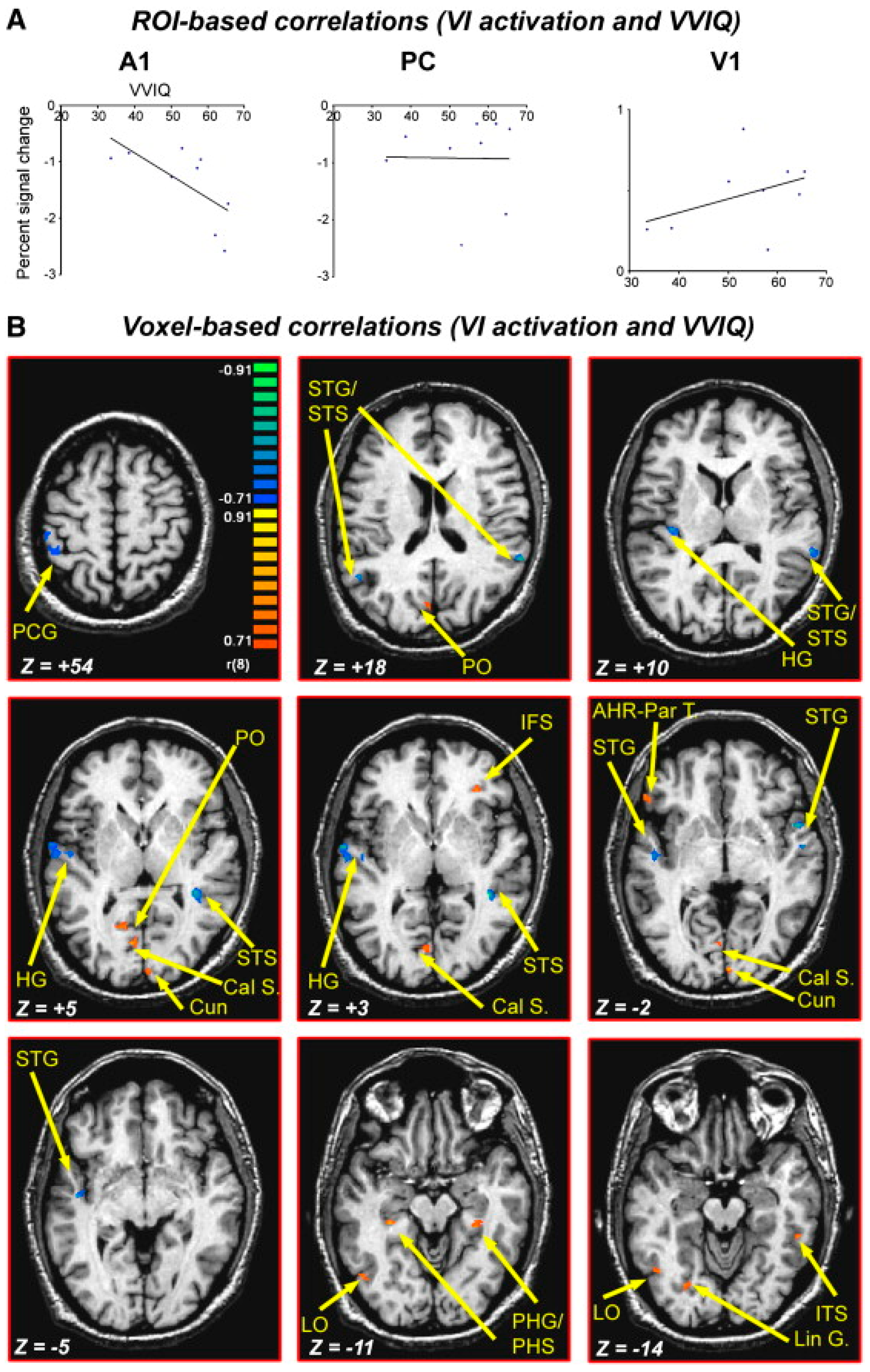 Vision 07 00012 g006
