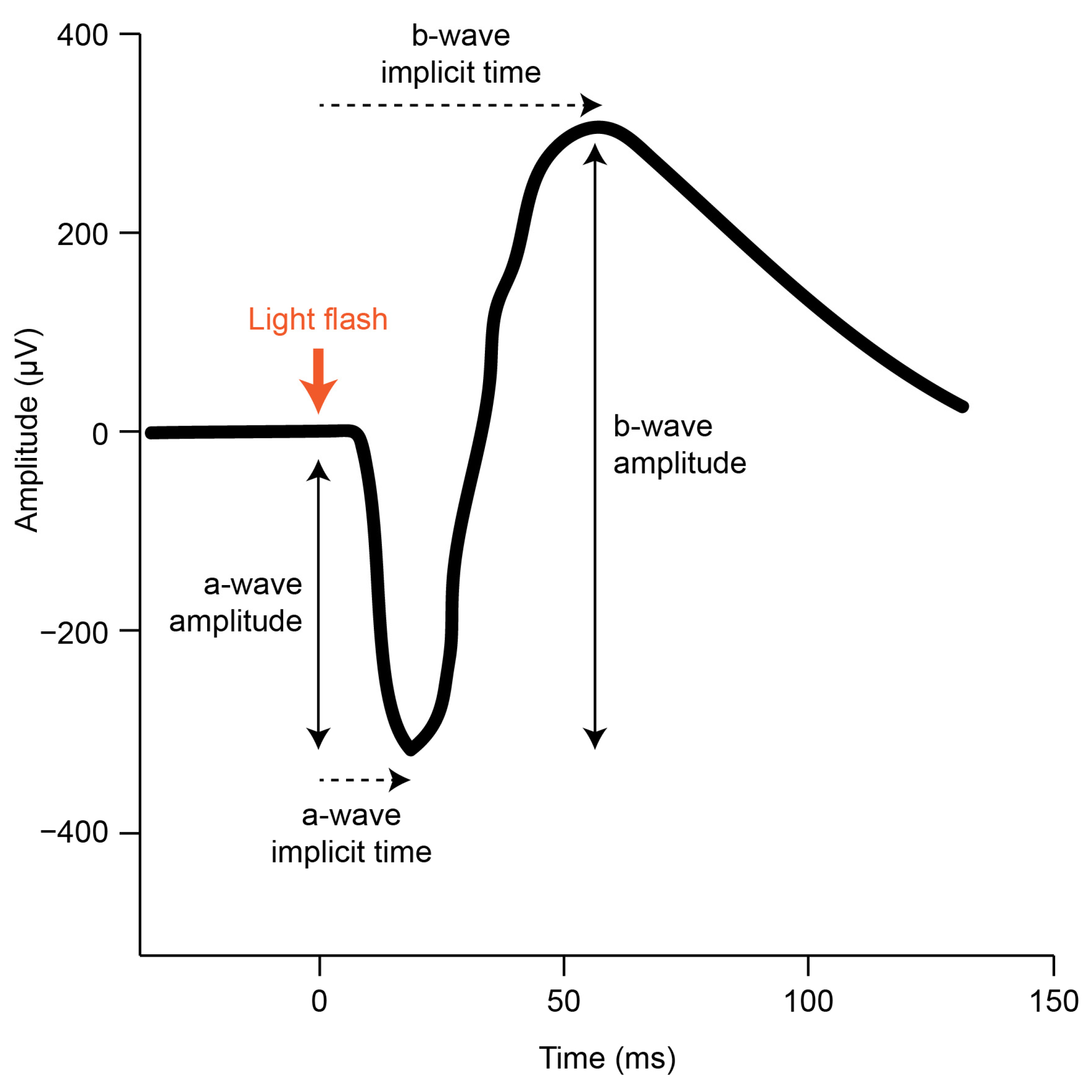 Vision 07 00015 g001