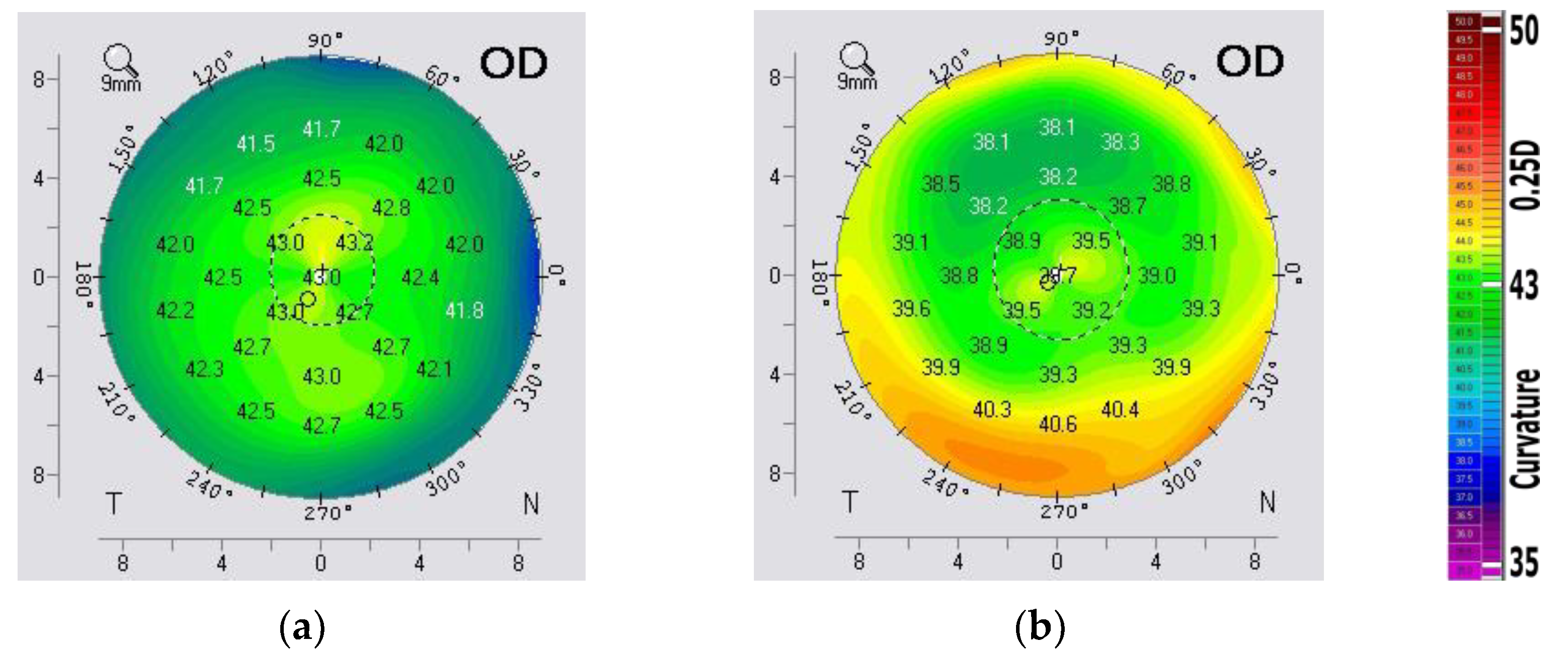Vision 07 00021 g005a