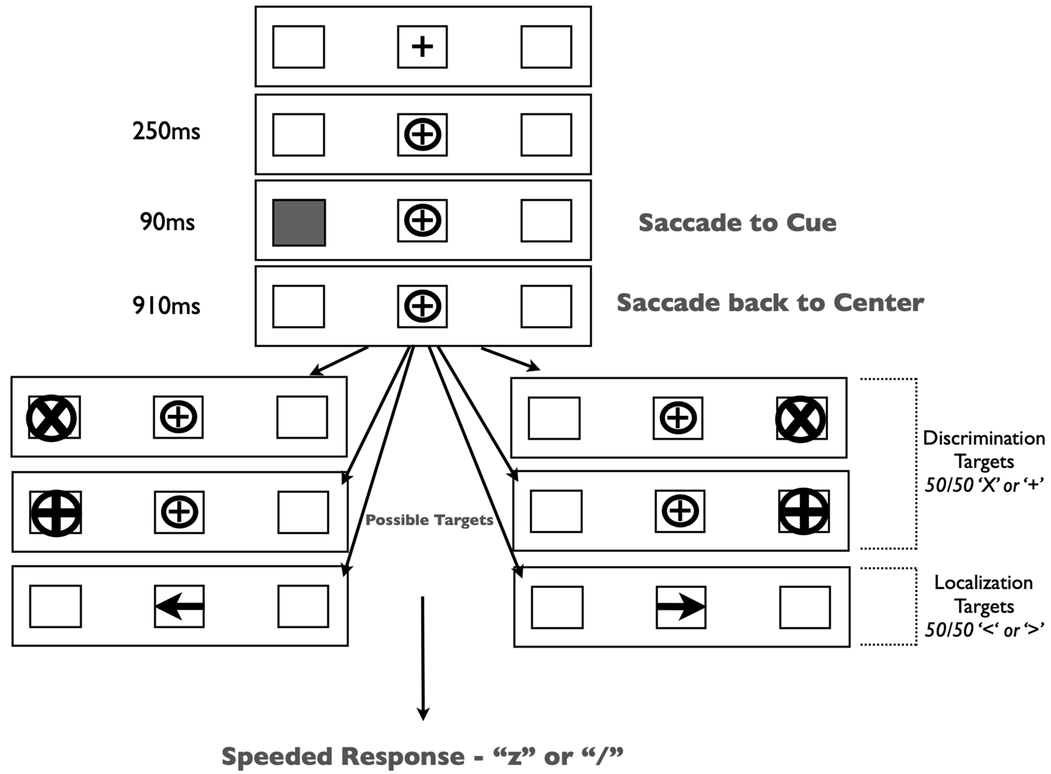 Vision 07 00025 g002