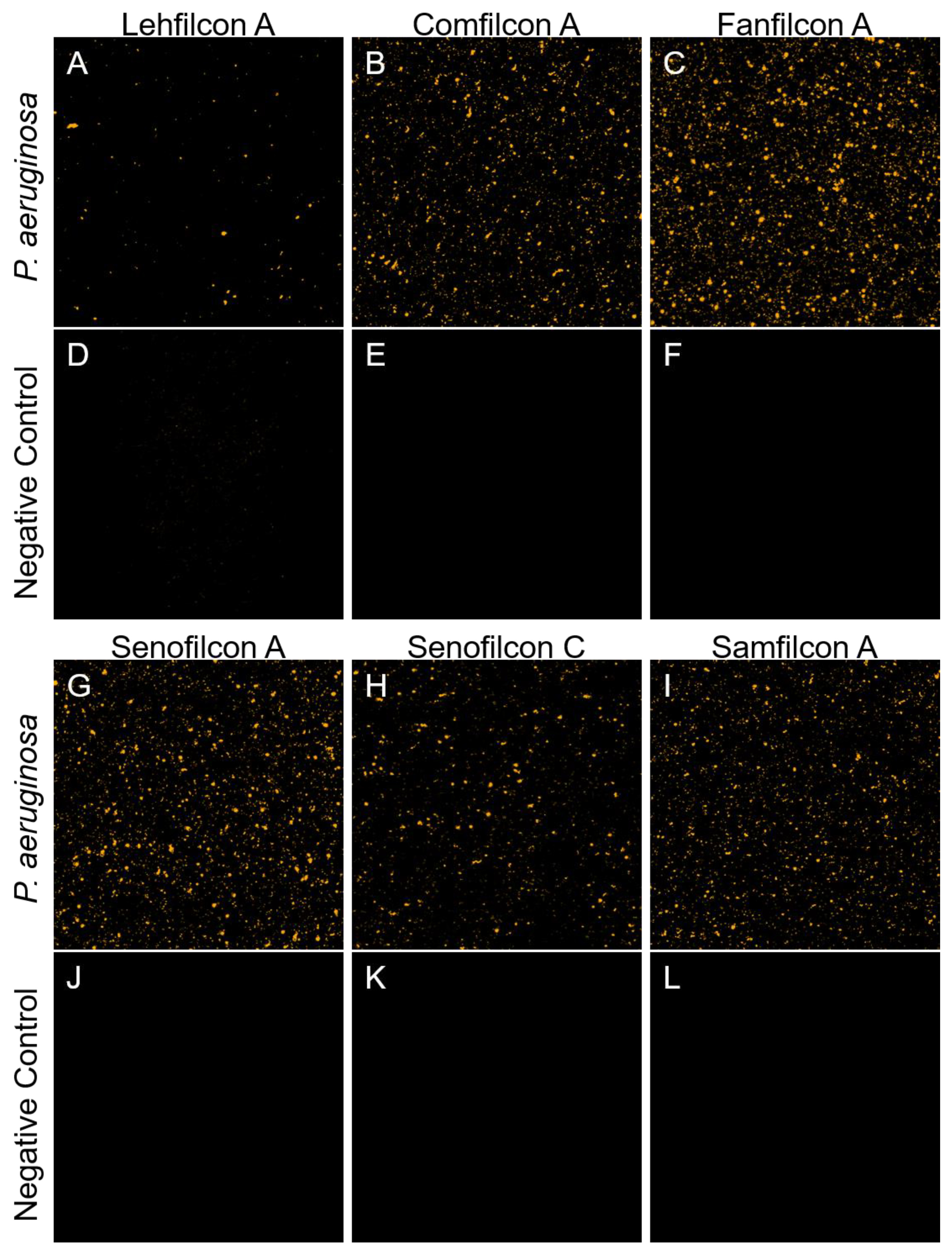 Vision 07 00027 g001 Vision 07 00027 g001