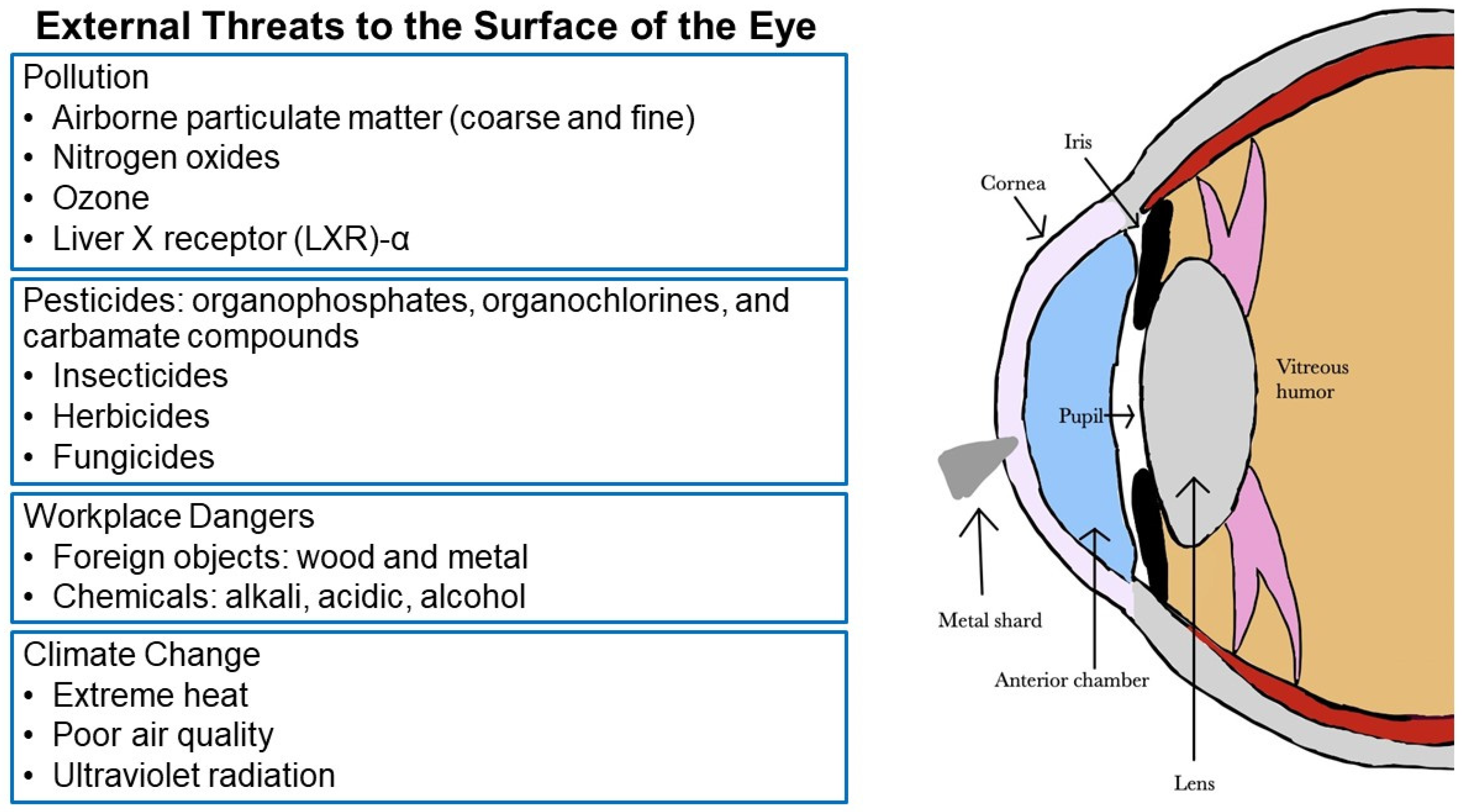 Vision 07 00032 g001