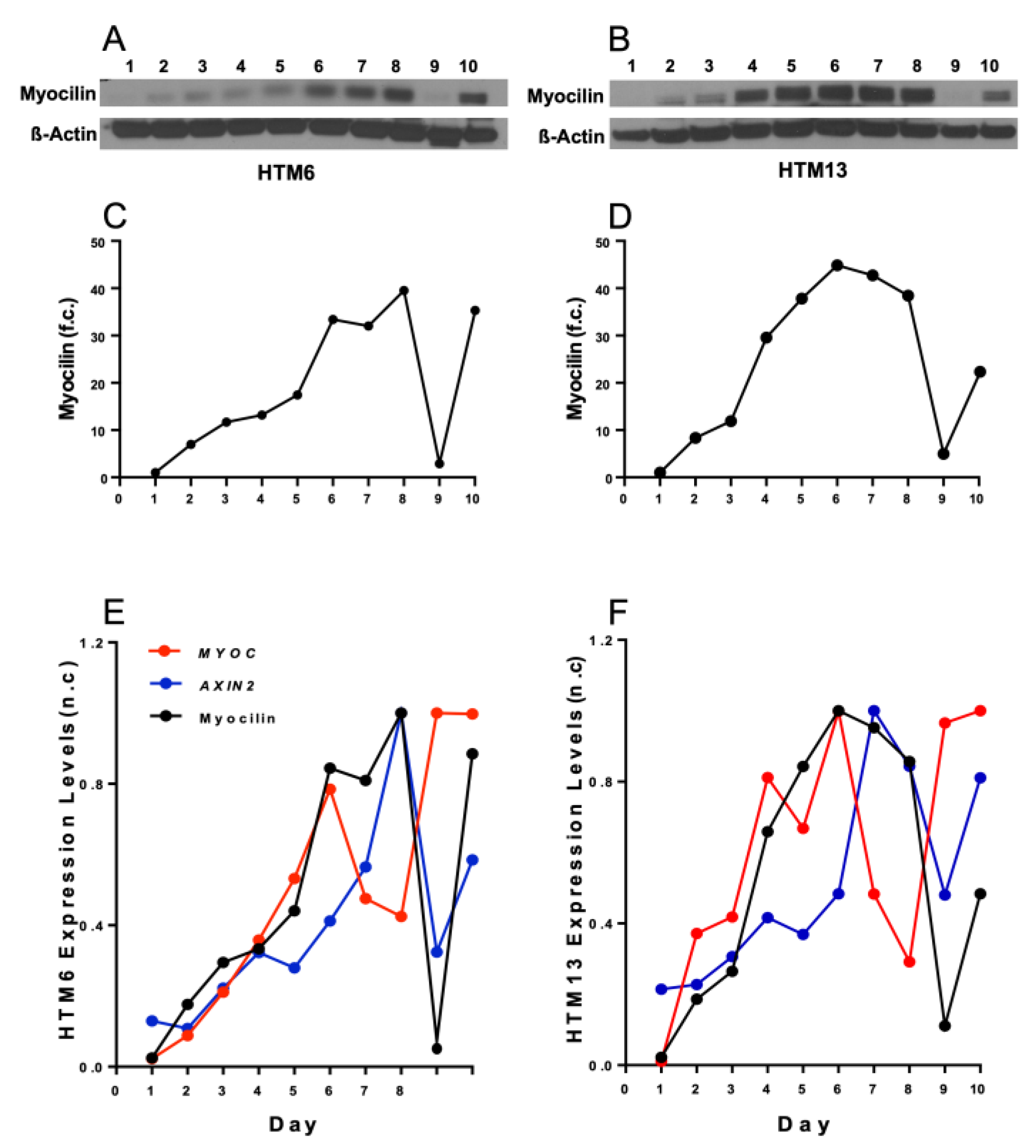 Vision 07 00043 g002 Vision 07 00043 g002
