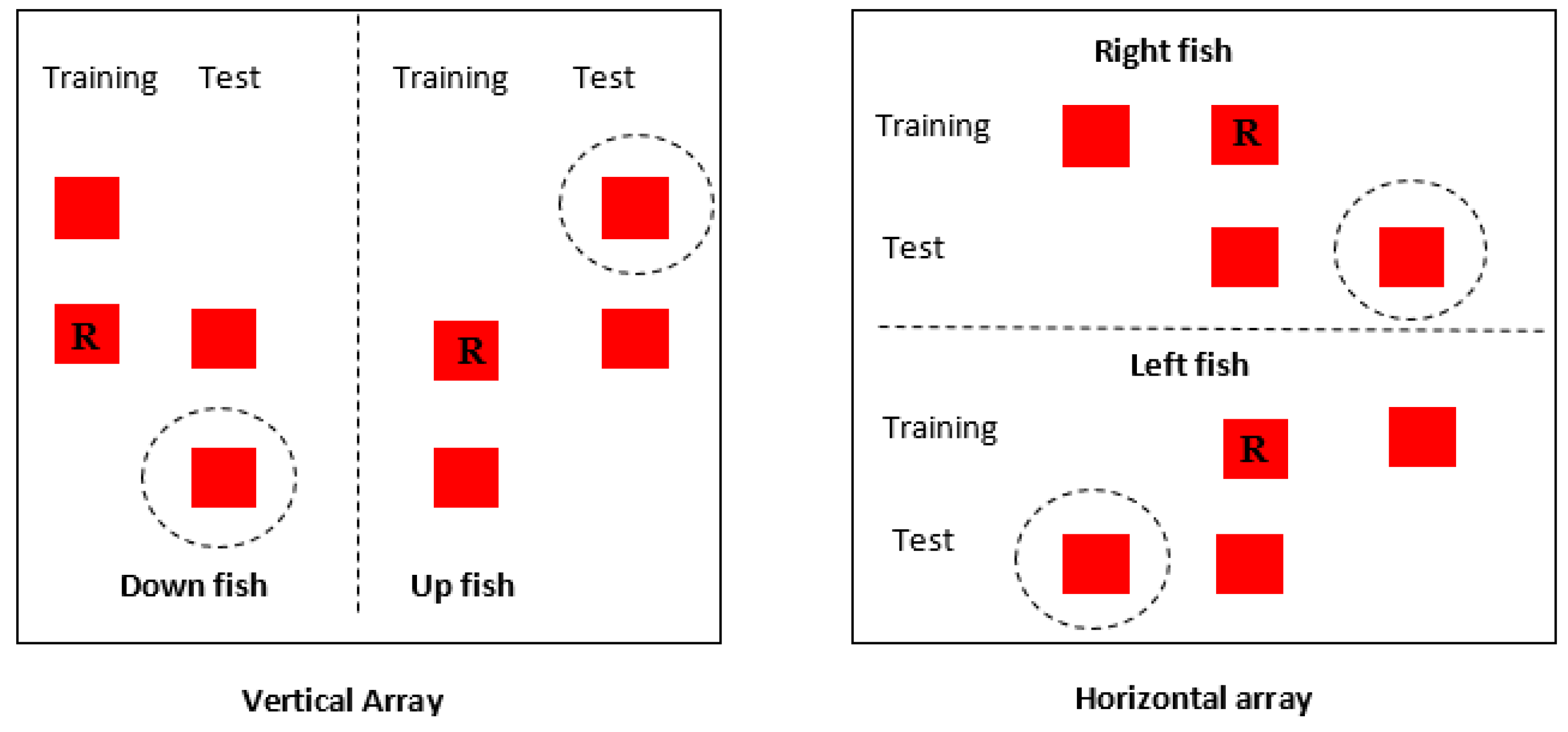 Vision 07 00044 g002