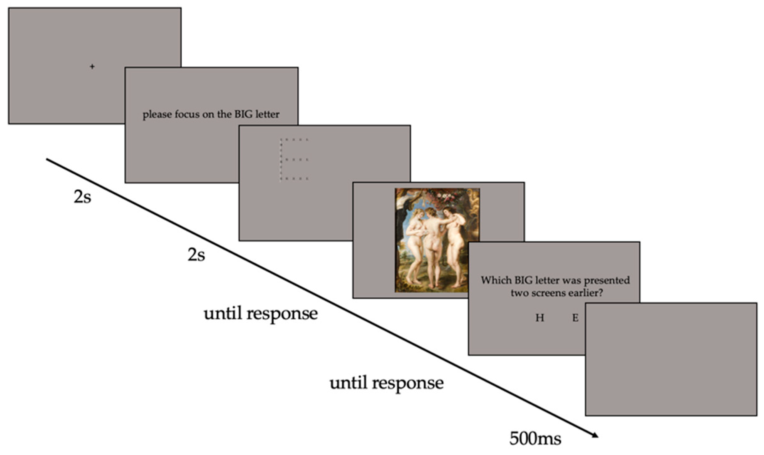 Vision 07 00055 g003 Vision 07 00055 g003