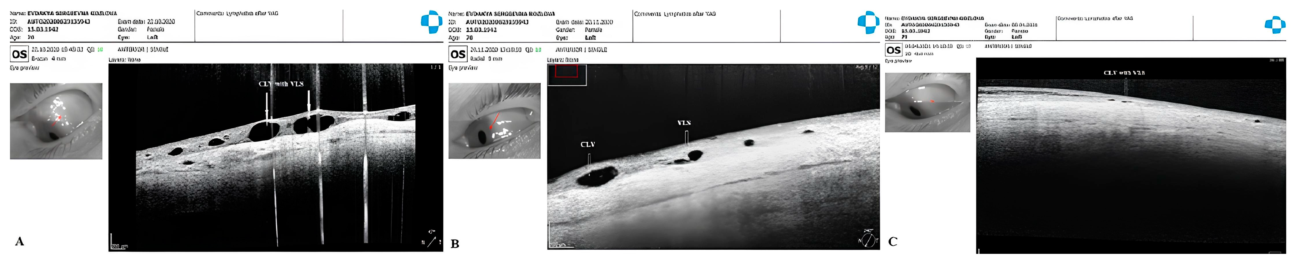 Vision 07 00059 g015