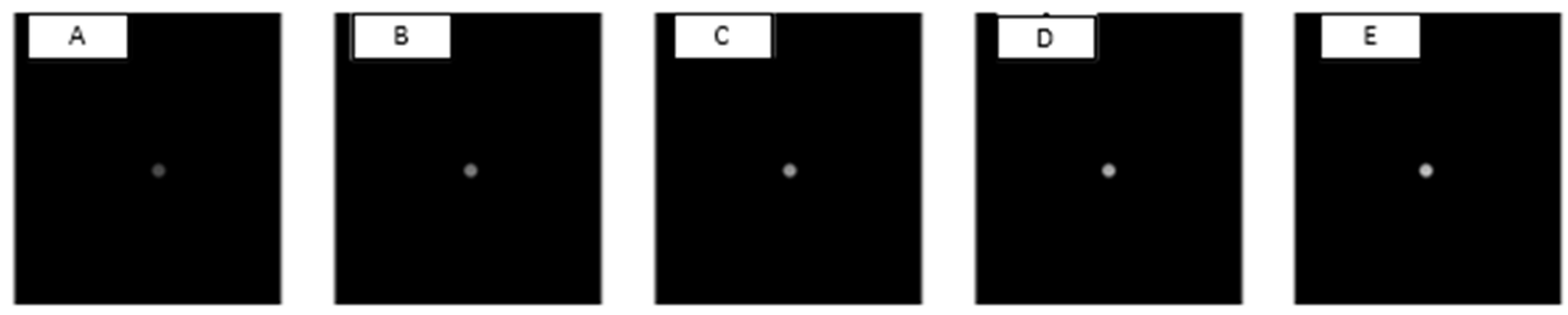 Vision 07 00068 g003 Vision 07 00068 g003