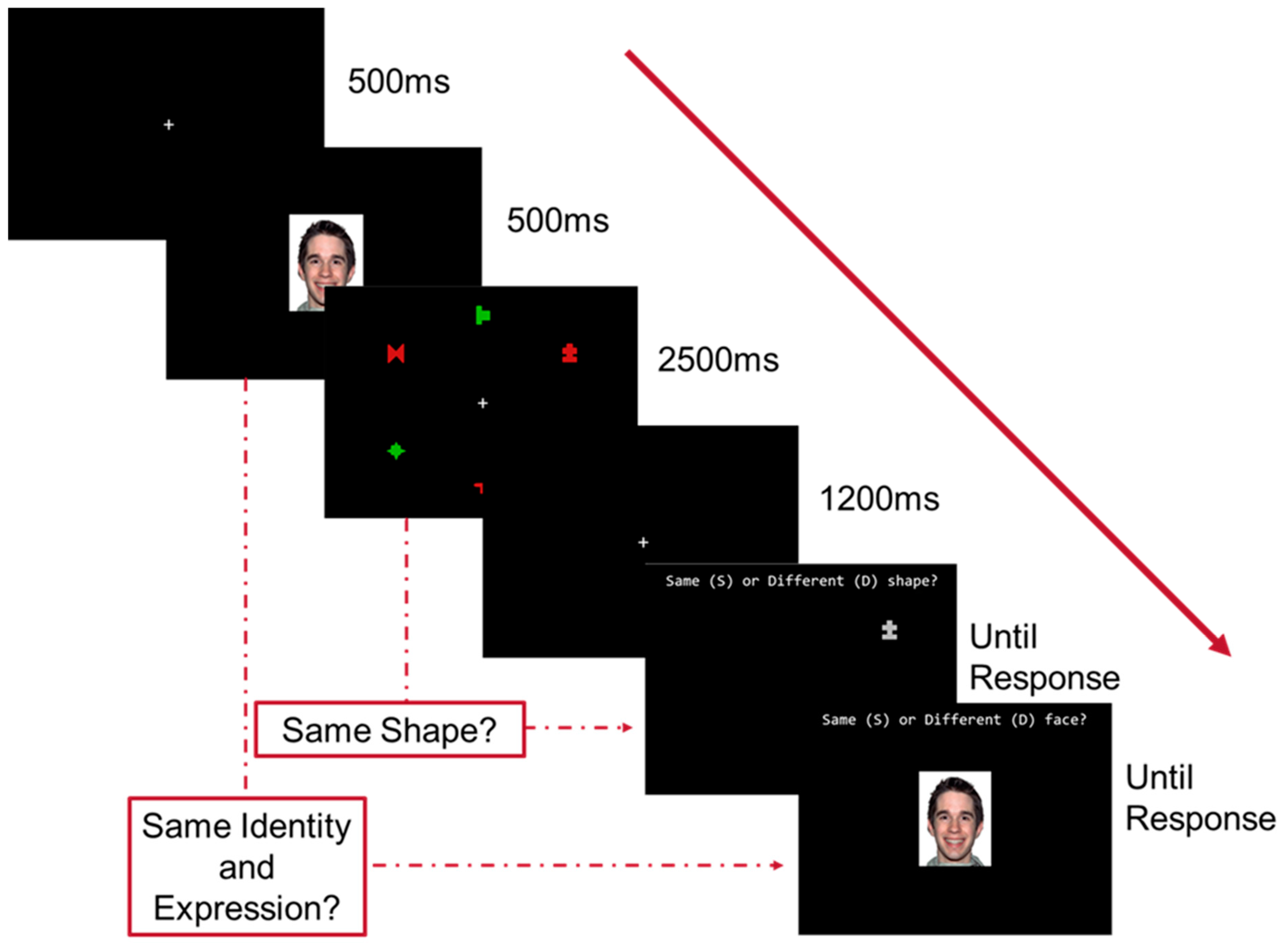 Vision 08 00004 g001